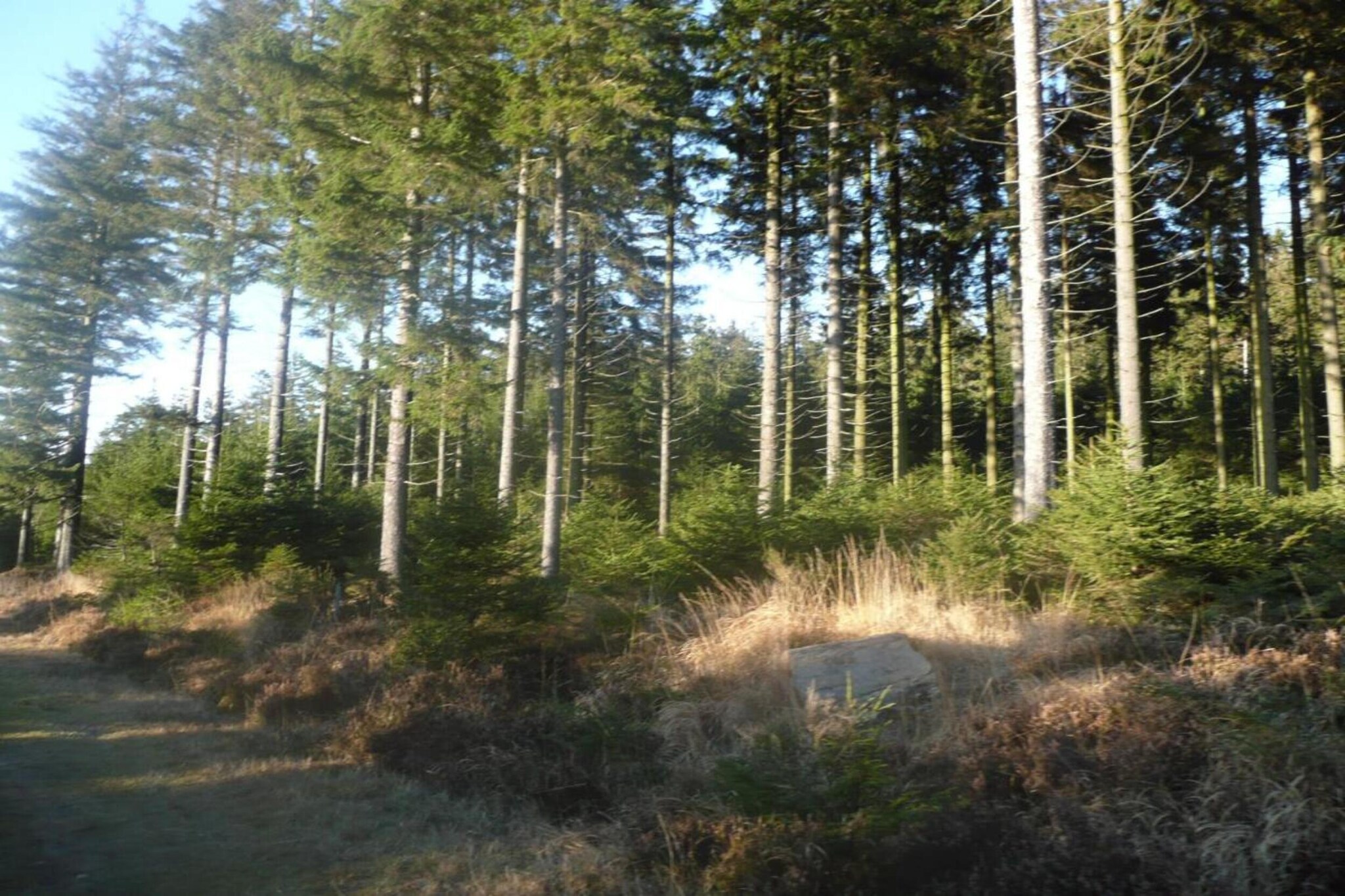 Le Refuge du Poète-Gebieden zomer 20km