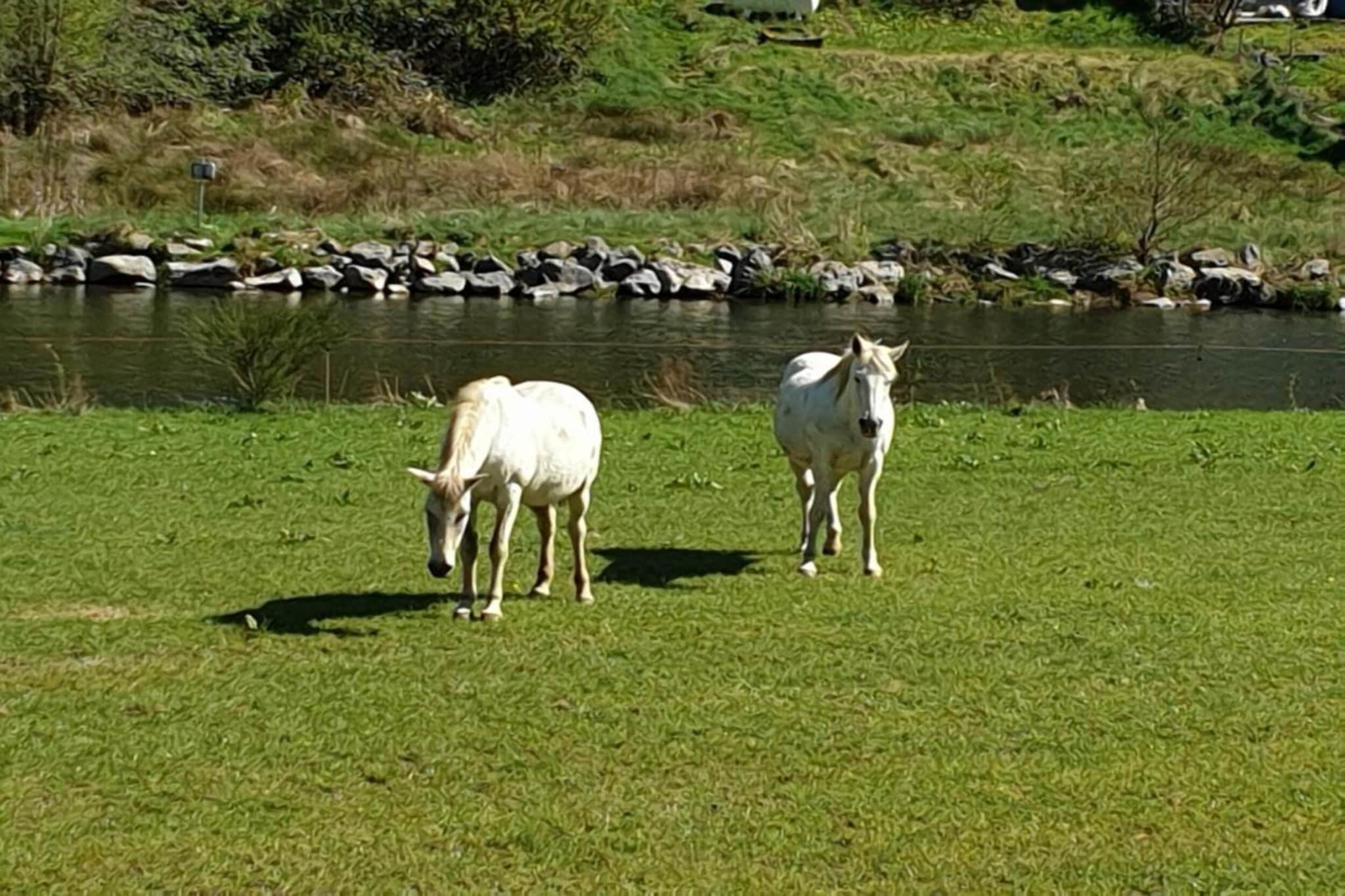 Le Refuge du Poète-Gebieden zomer 20km