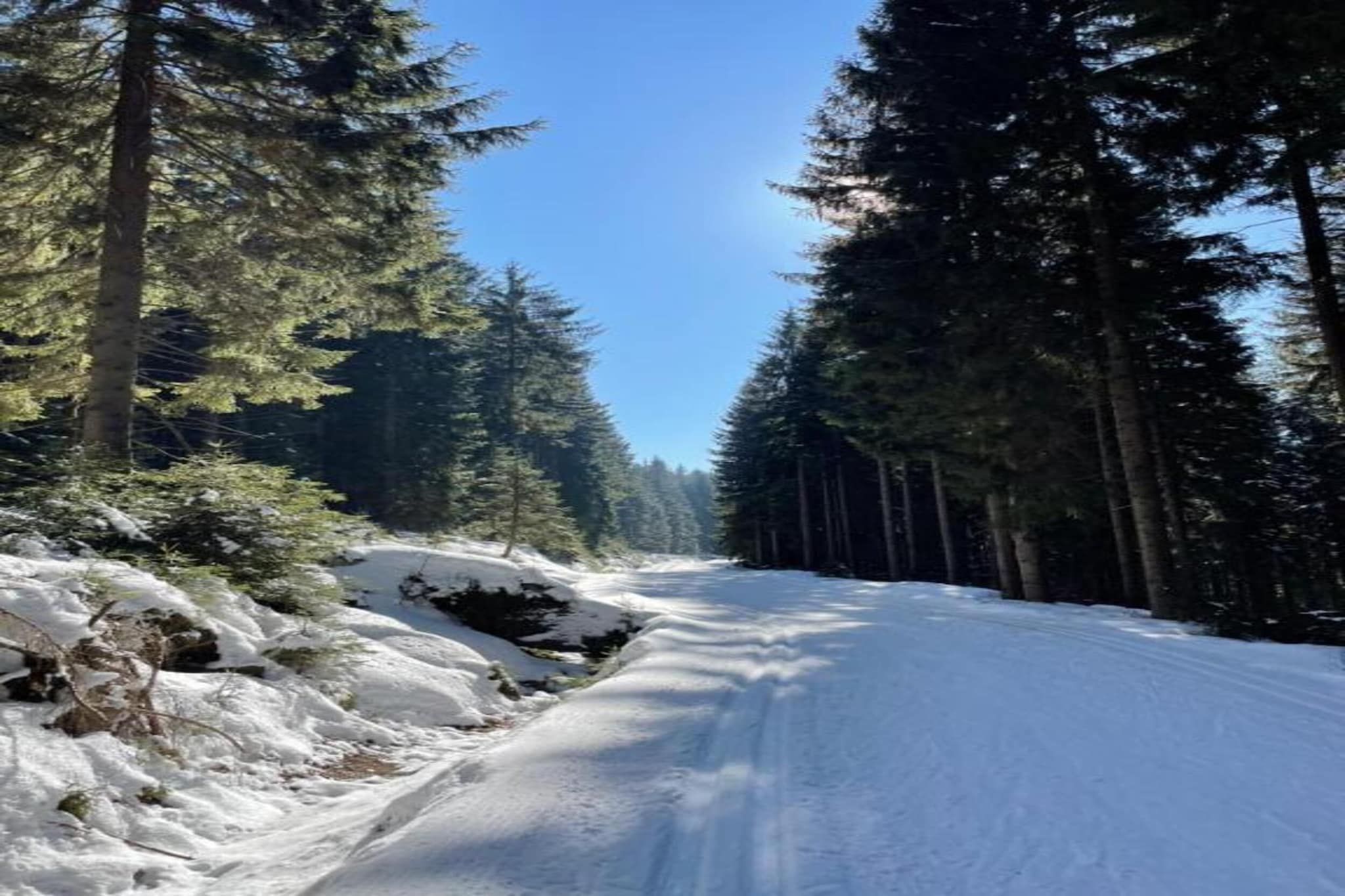 Irena-Gebied winter 20km