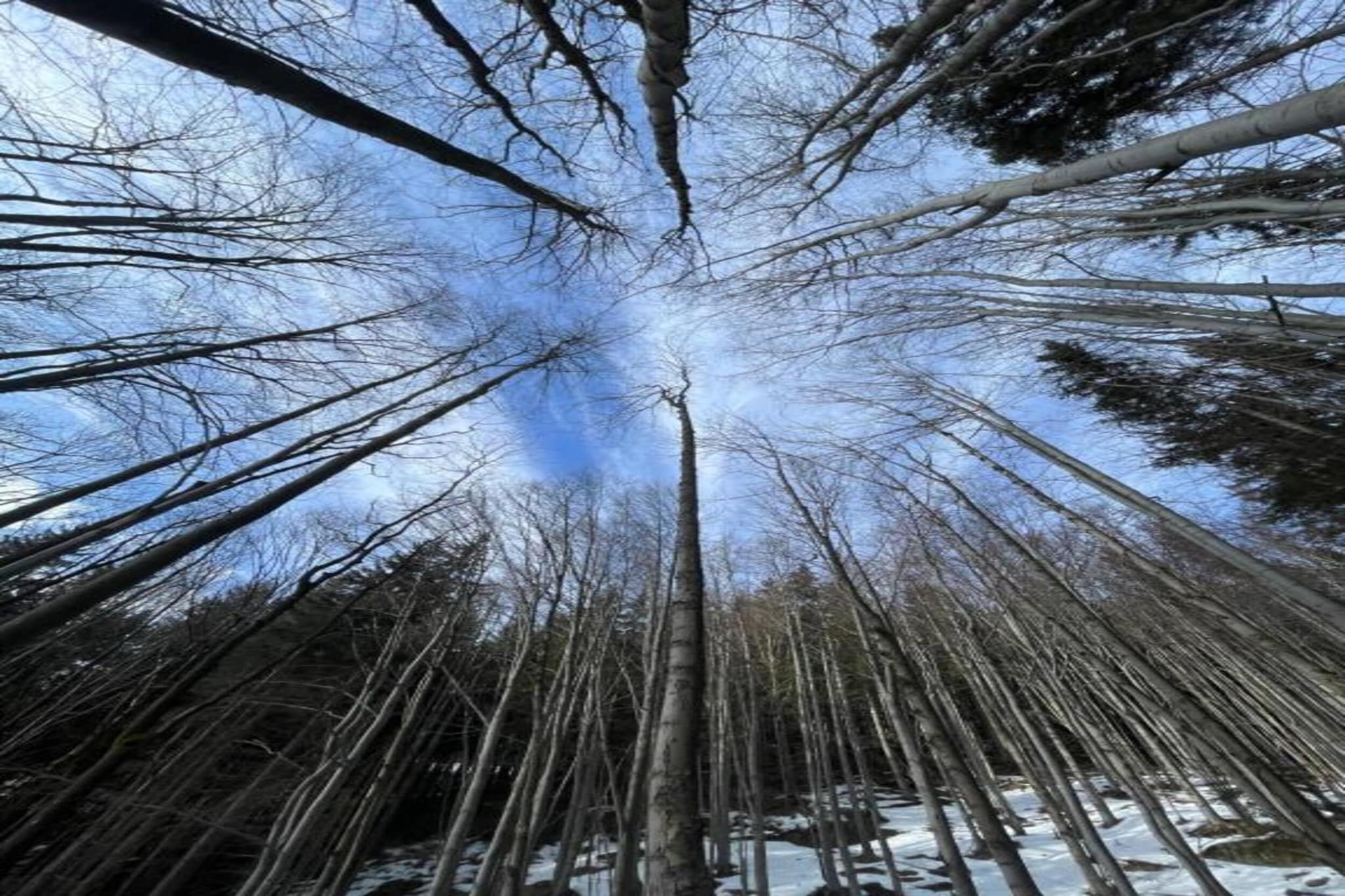 Irena-Gebied winter 20km