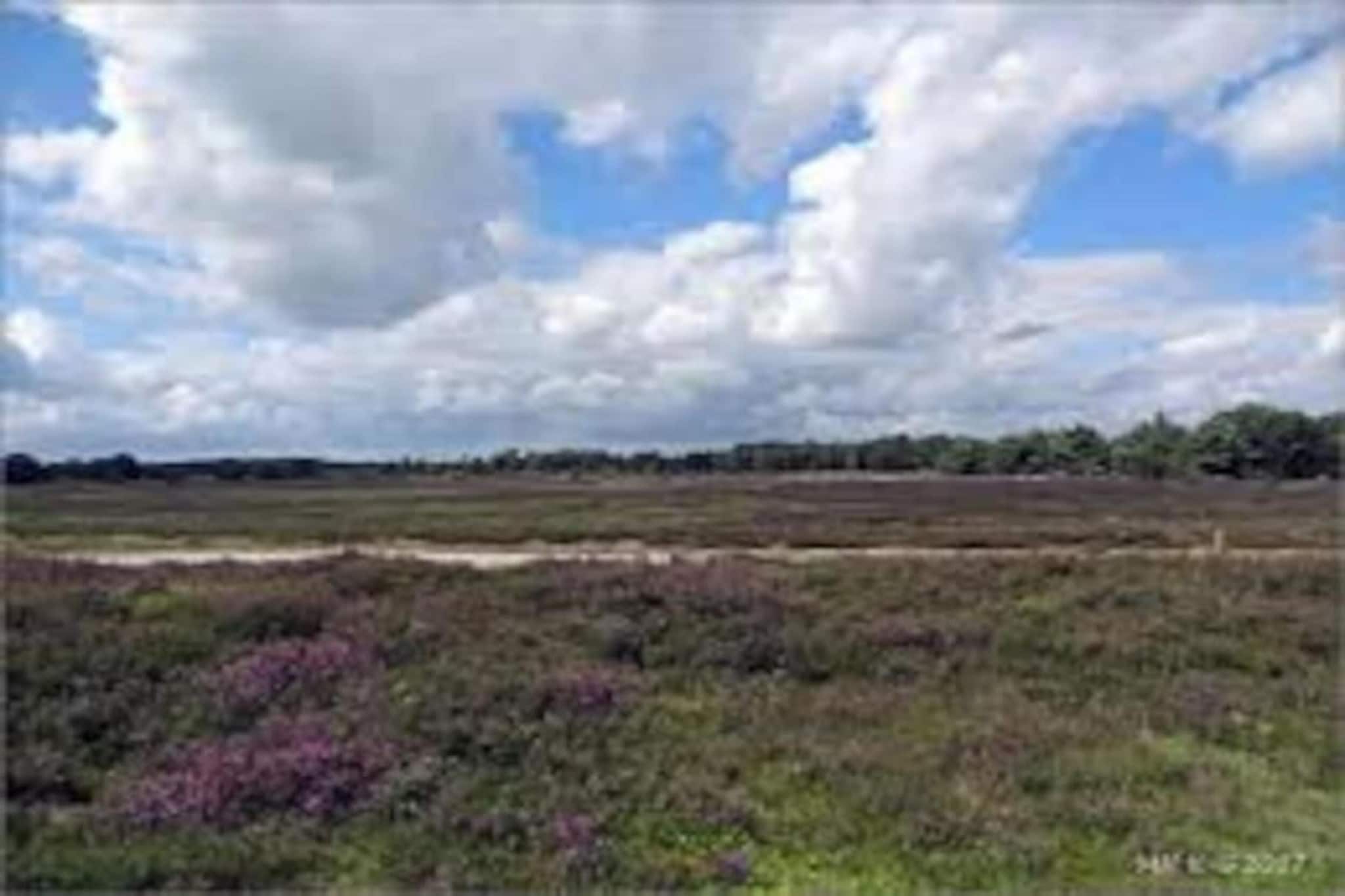 RCN Vakantiepark de Noordster 5-Gebieden zomer 20km