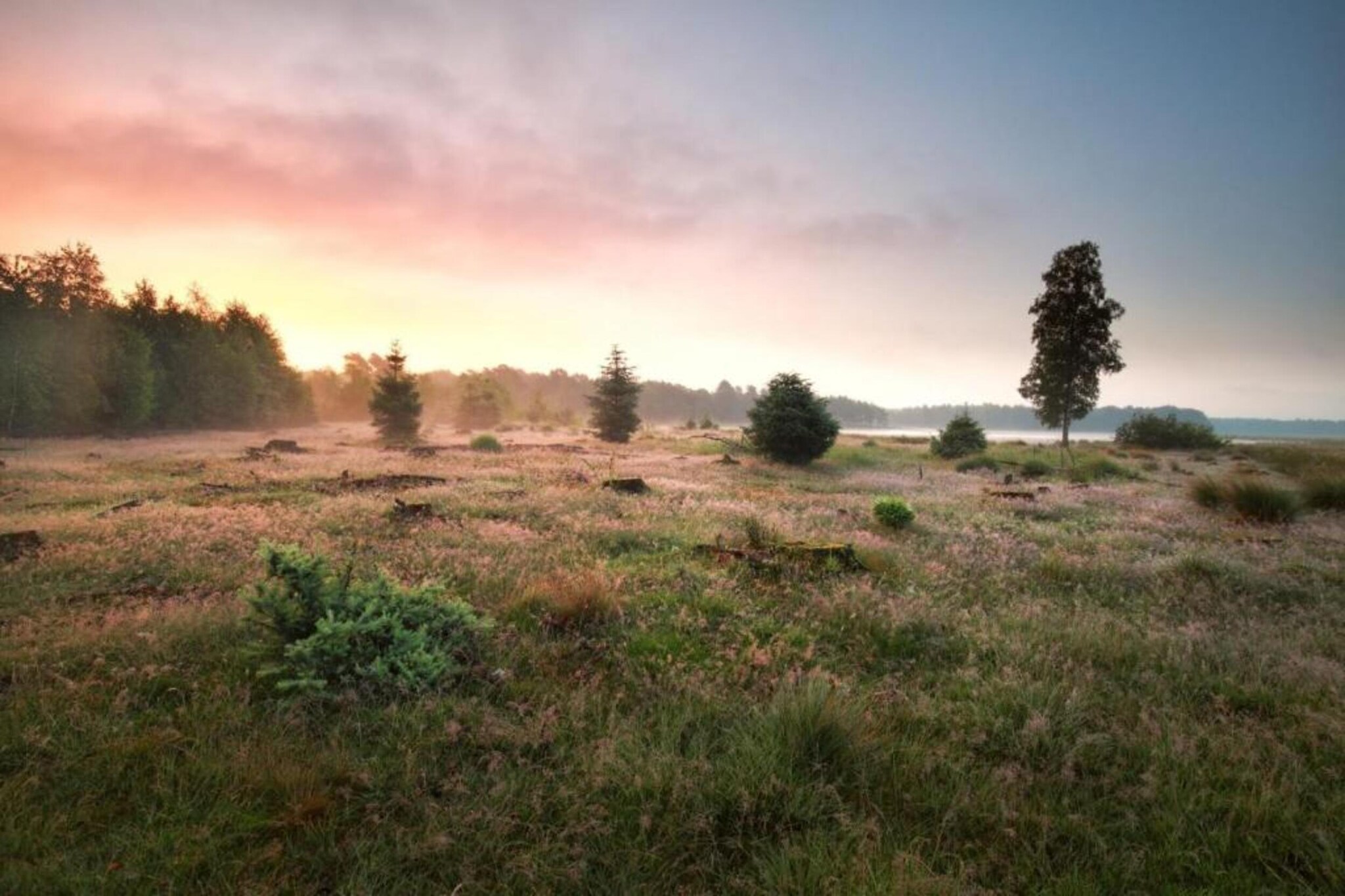 RCN Vakantiepark de Noordster 5-Gebieden zomer 20km