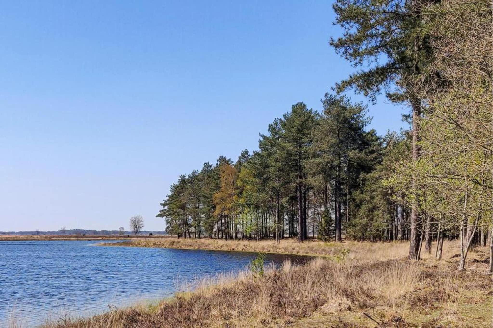 RCN Vakantiepark de Noordster 5-Gebieden zomer 20km
