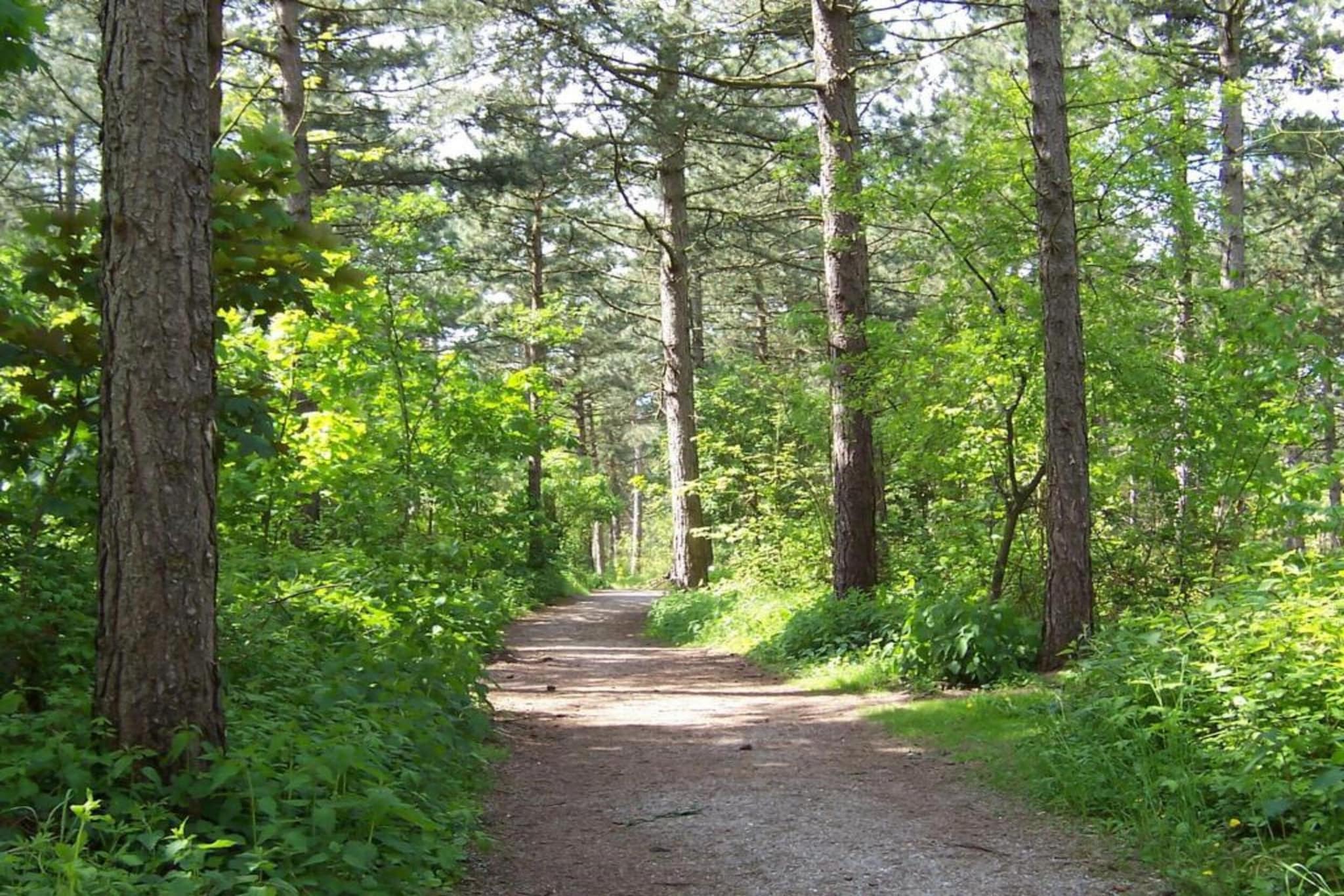 Bungalowpark de Gouden Spar 5-Gebieden zomer 5km