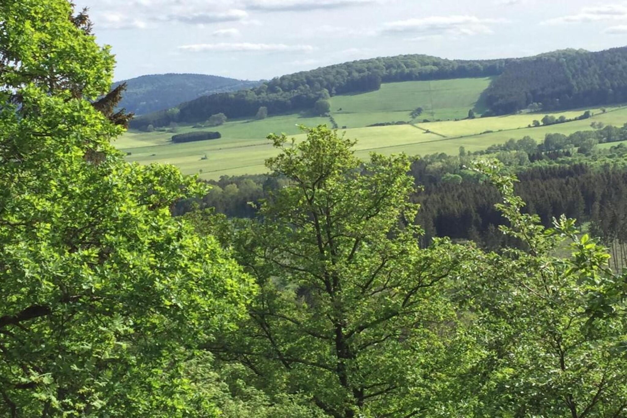 Wissinghausen-Gebieden zomer 5km