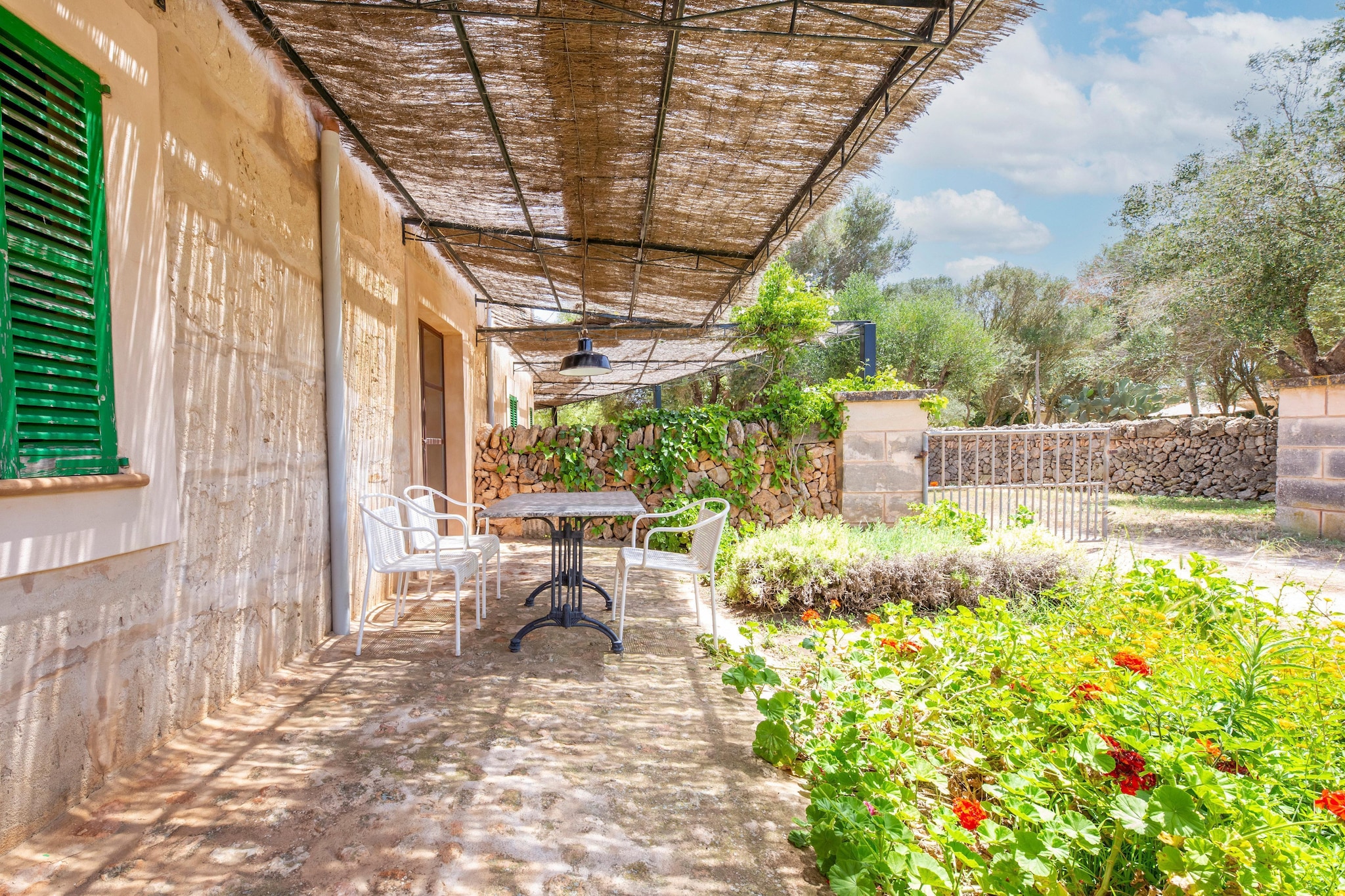 Terrace Balcony