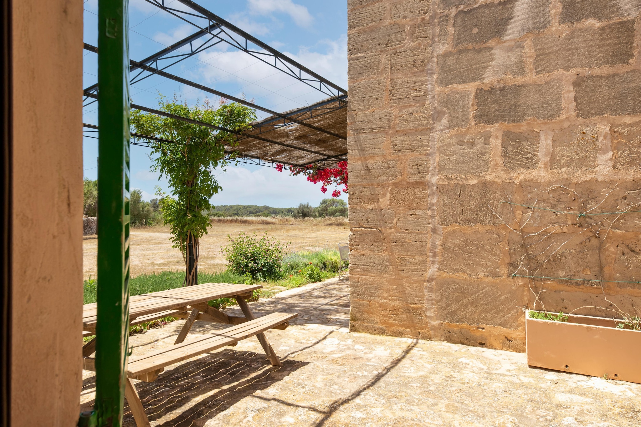 Terrace Balcony