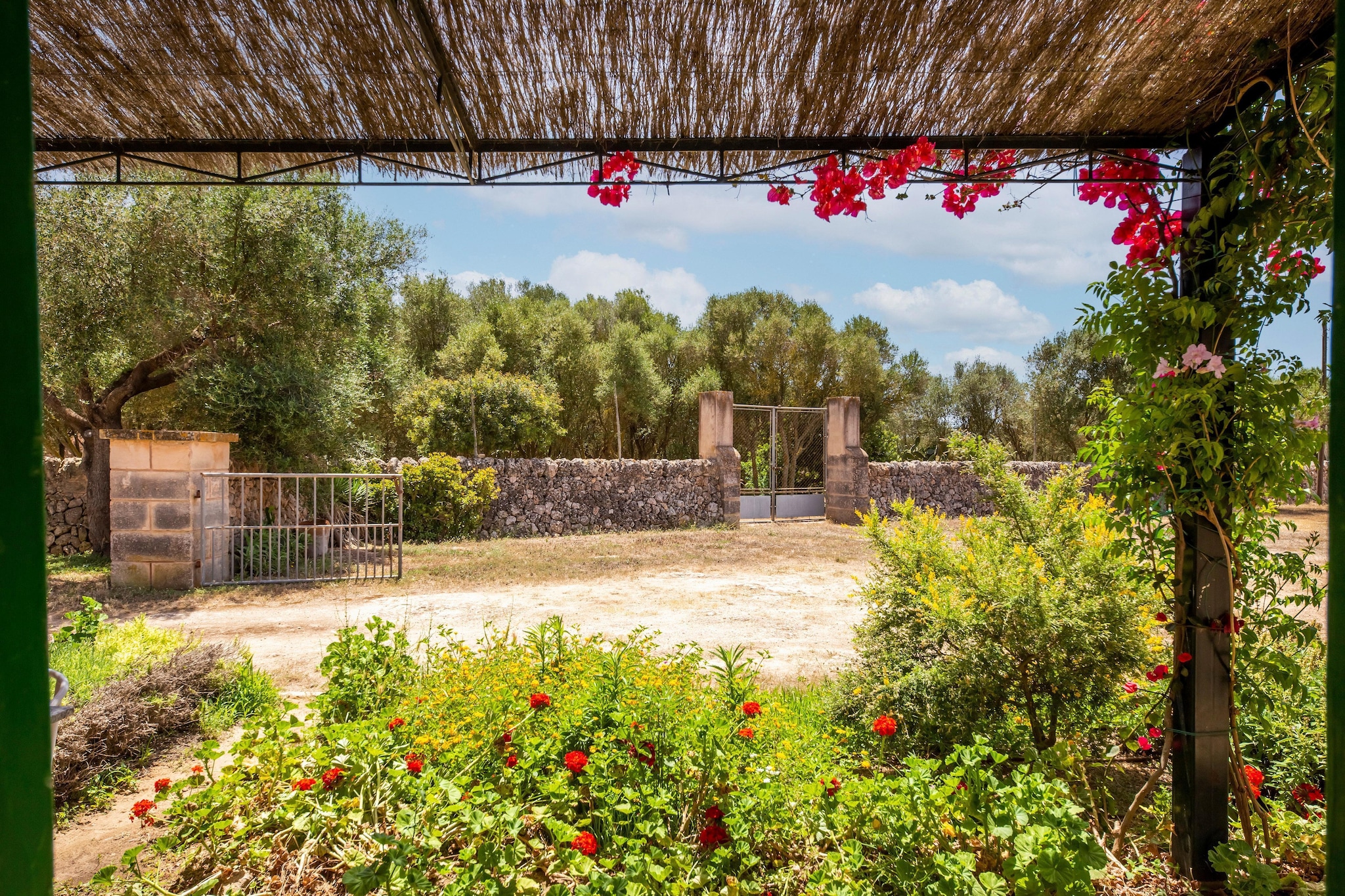 Garden Summer