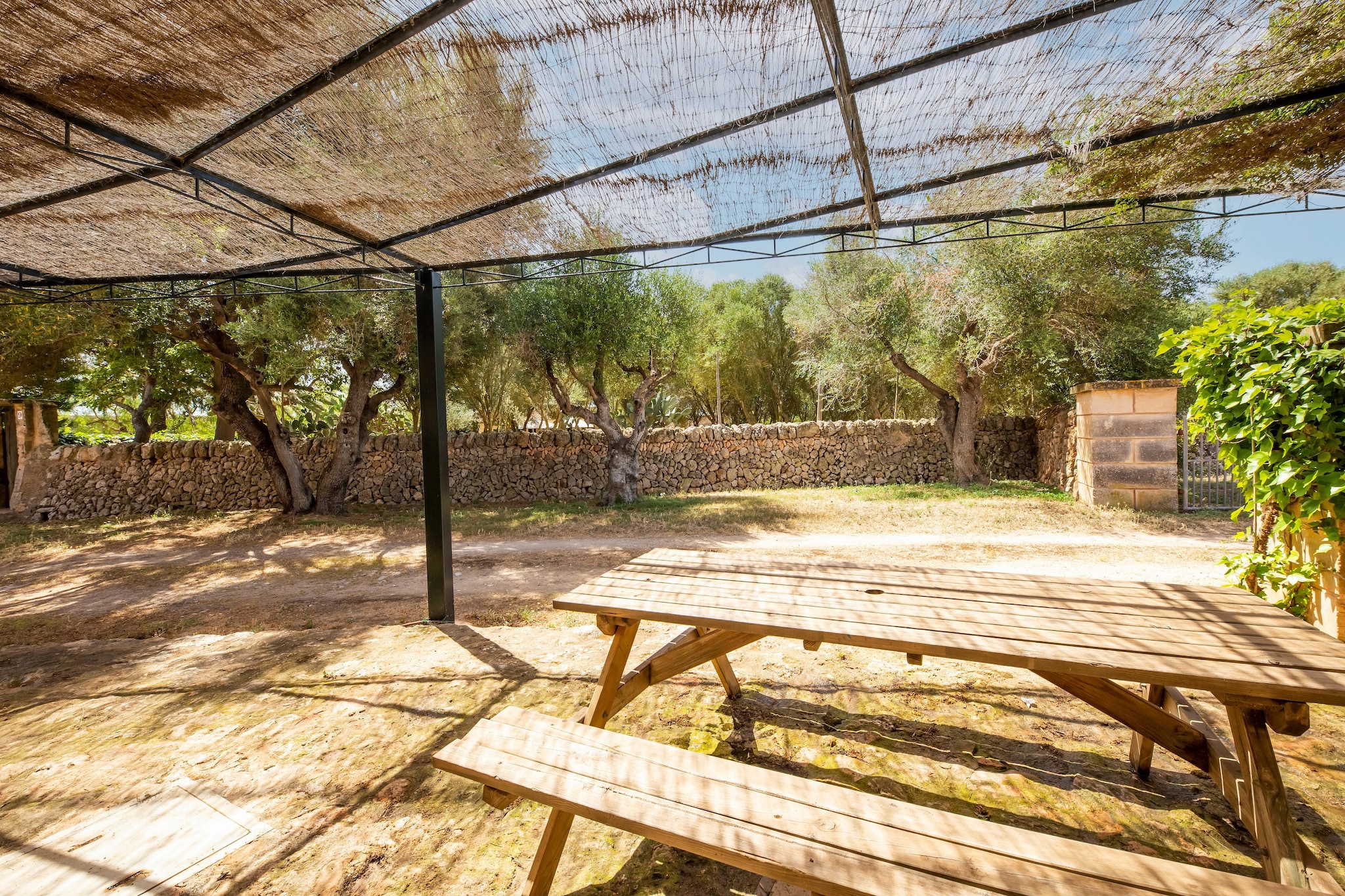 Terrace Balcony