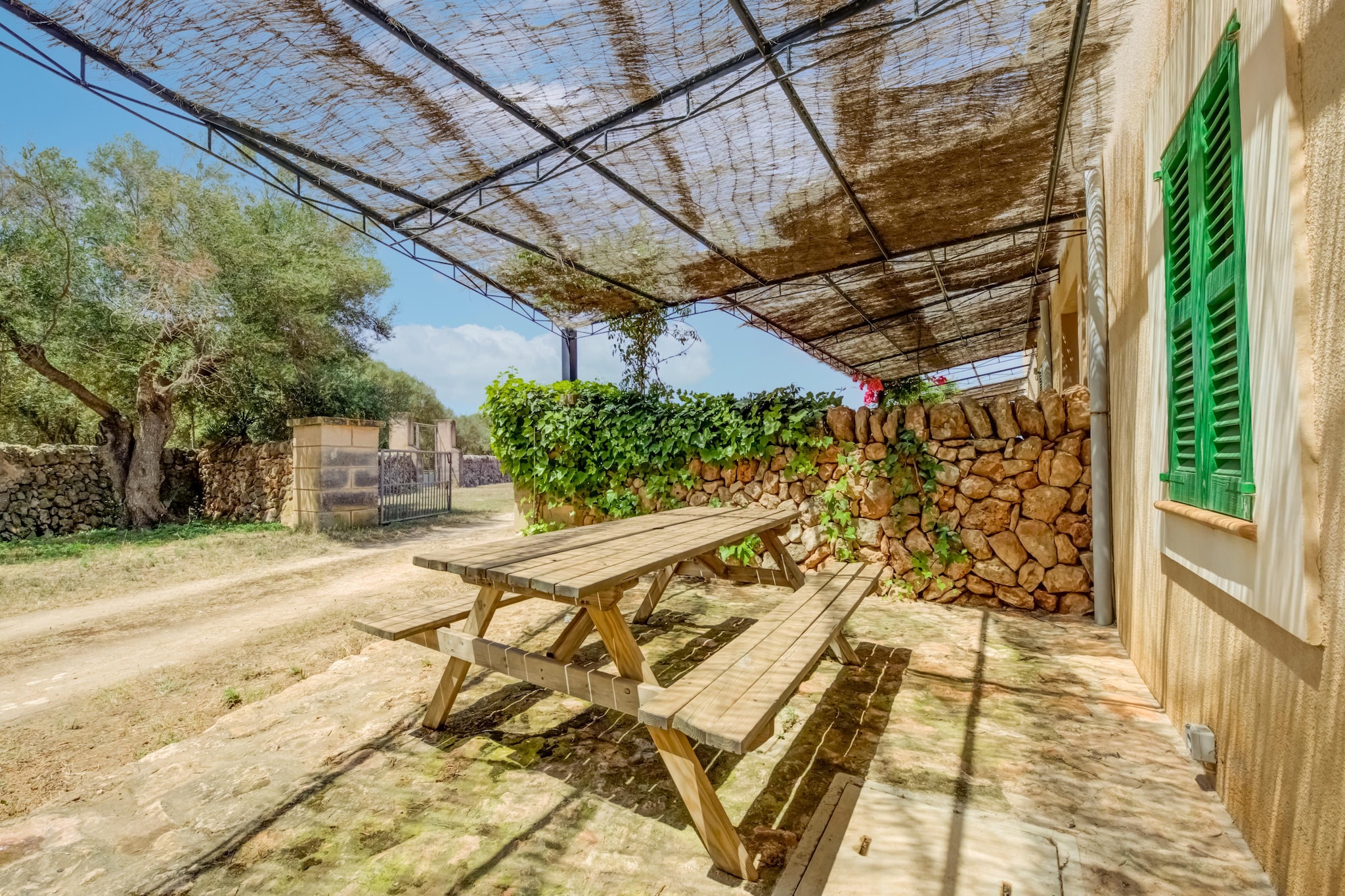 Terrace Balcony
