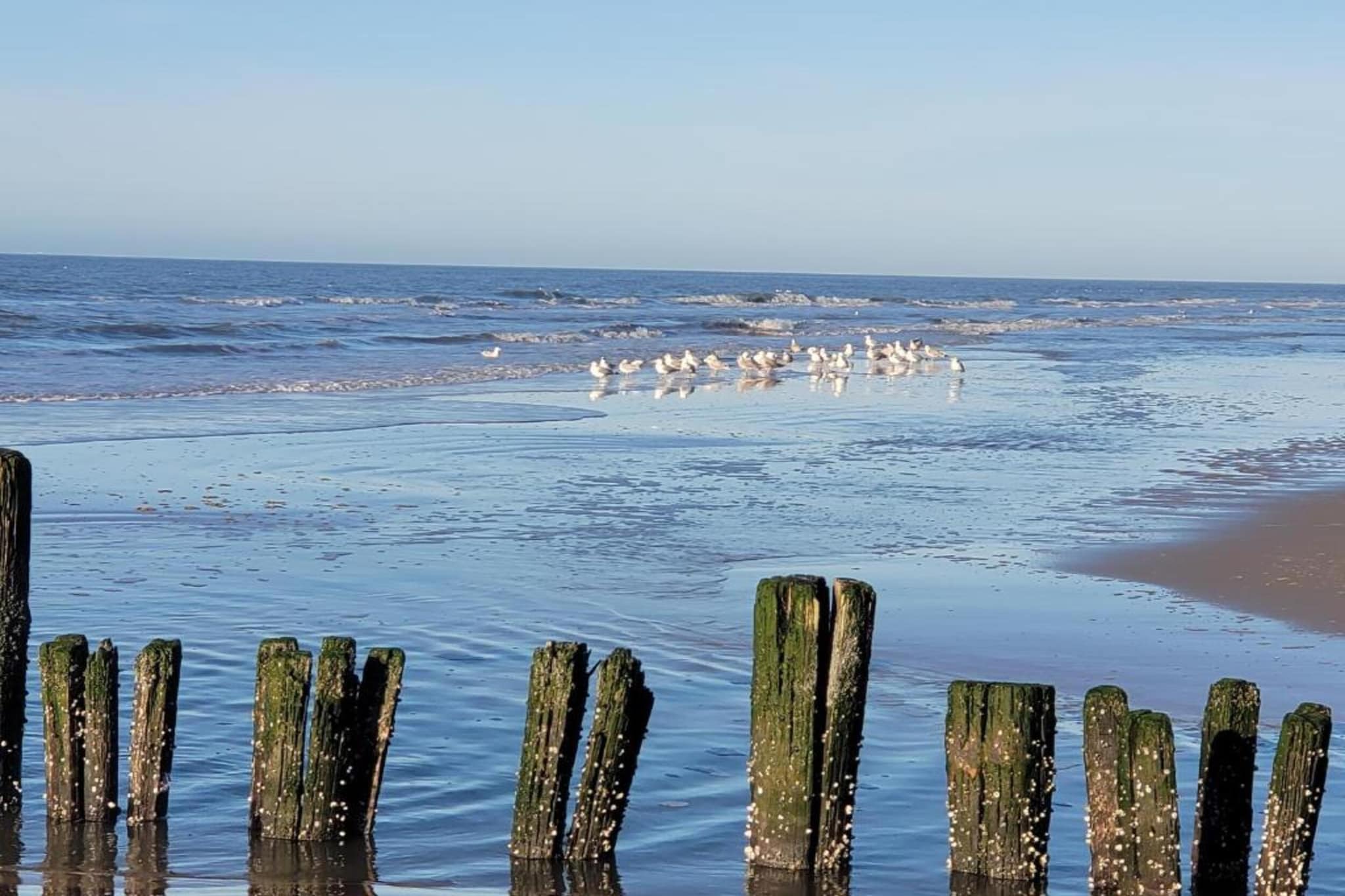 Huize Glory Diamant-Gebieden zomer 20km
