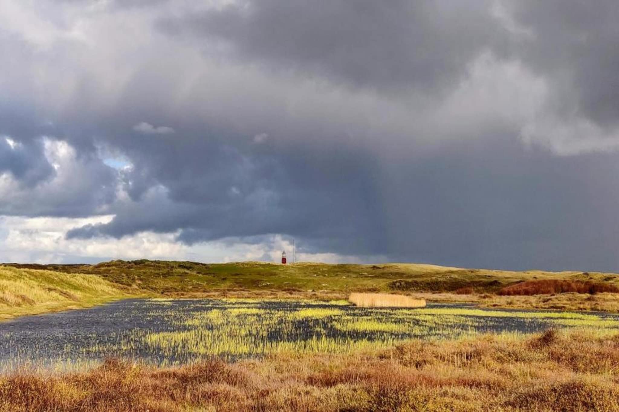 Kustpark Texel 7-Gebieden zomer 20km