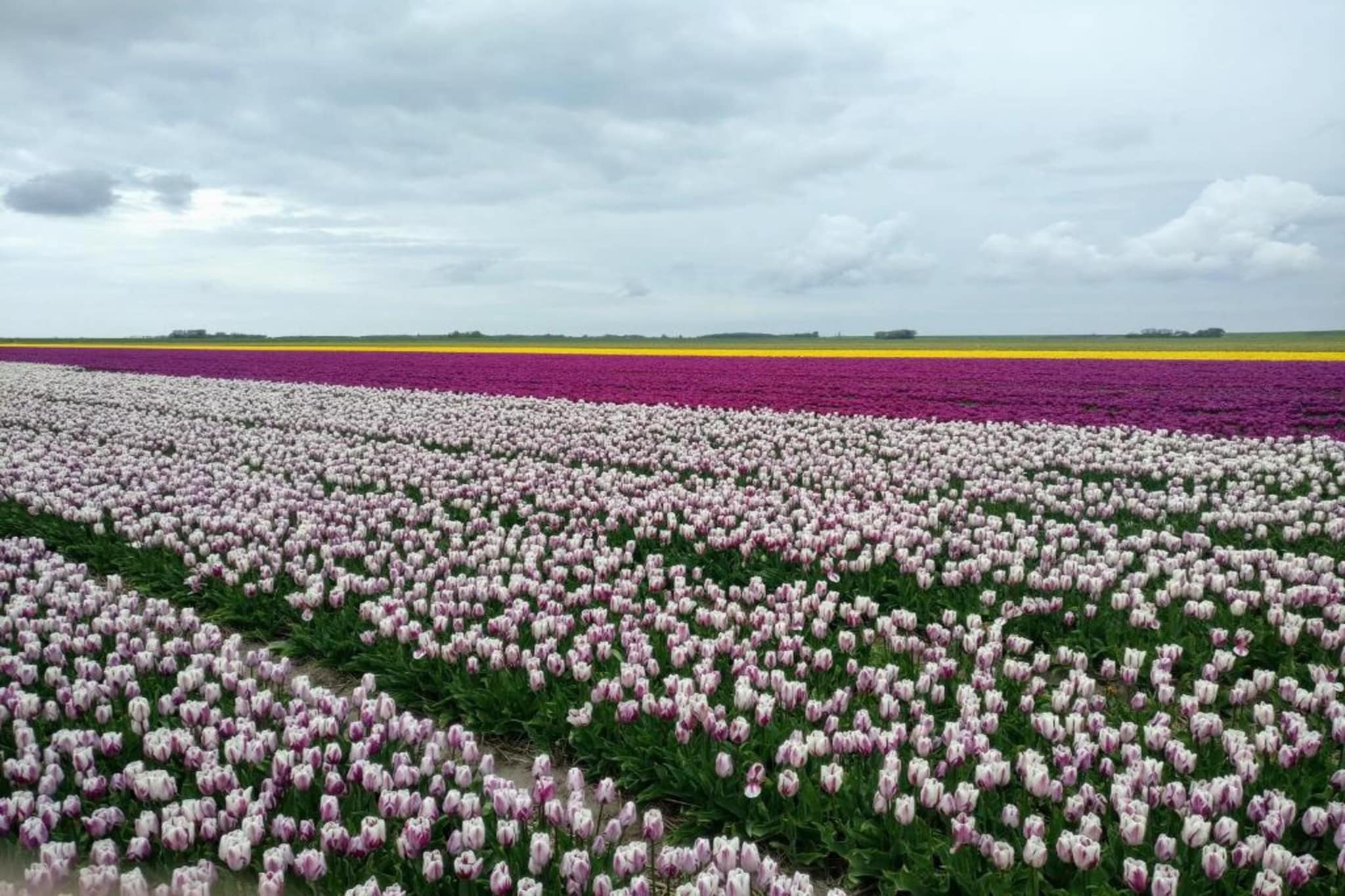 Kustpark Texel 7-Gebieden zomer 20km