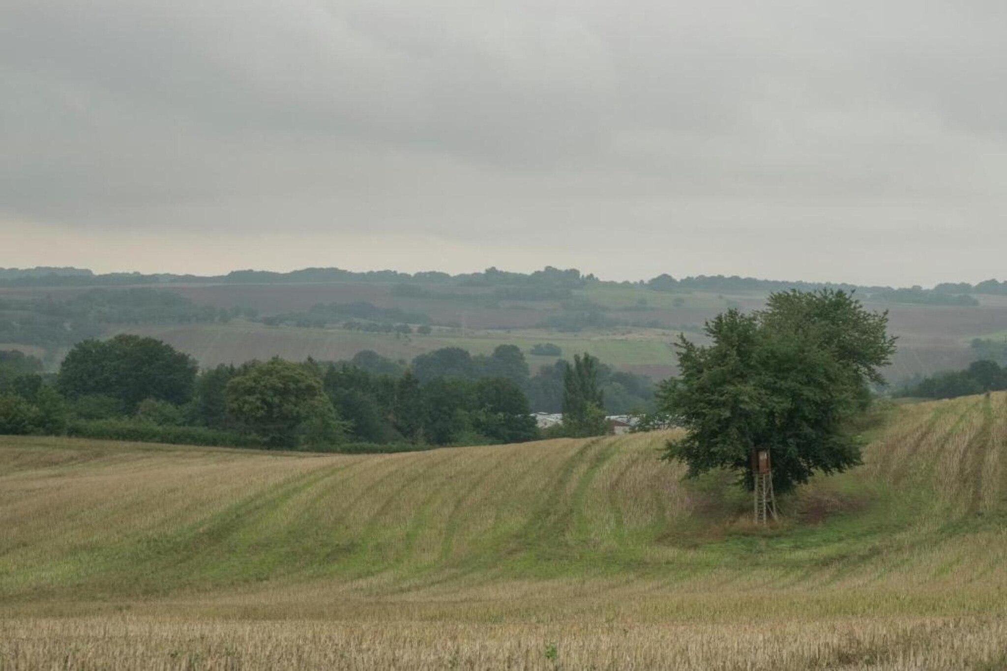 Neustadt-Gebieden zomer 20km