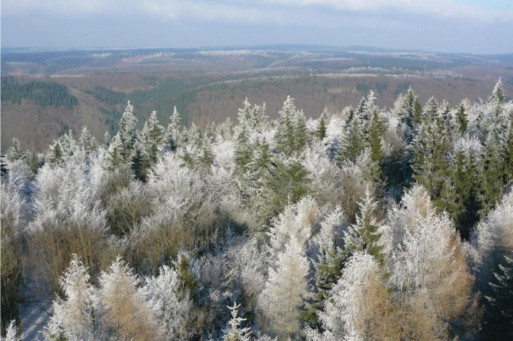 Neustadt-Gebied winter 20km