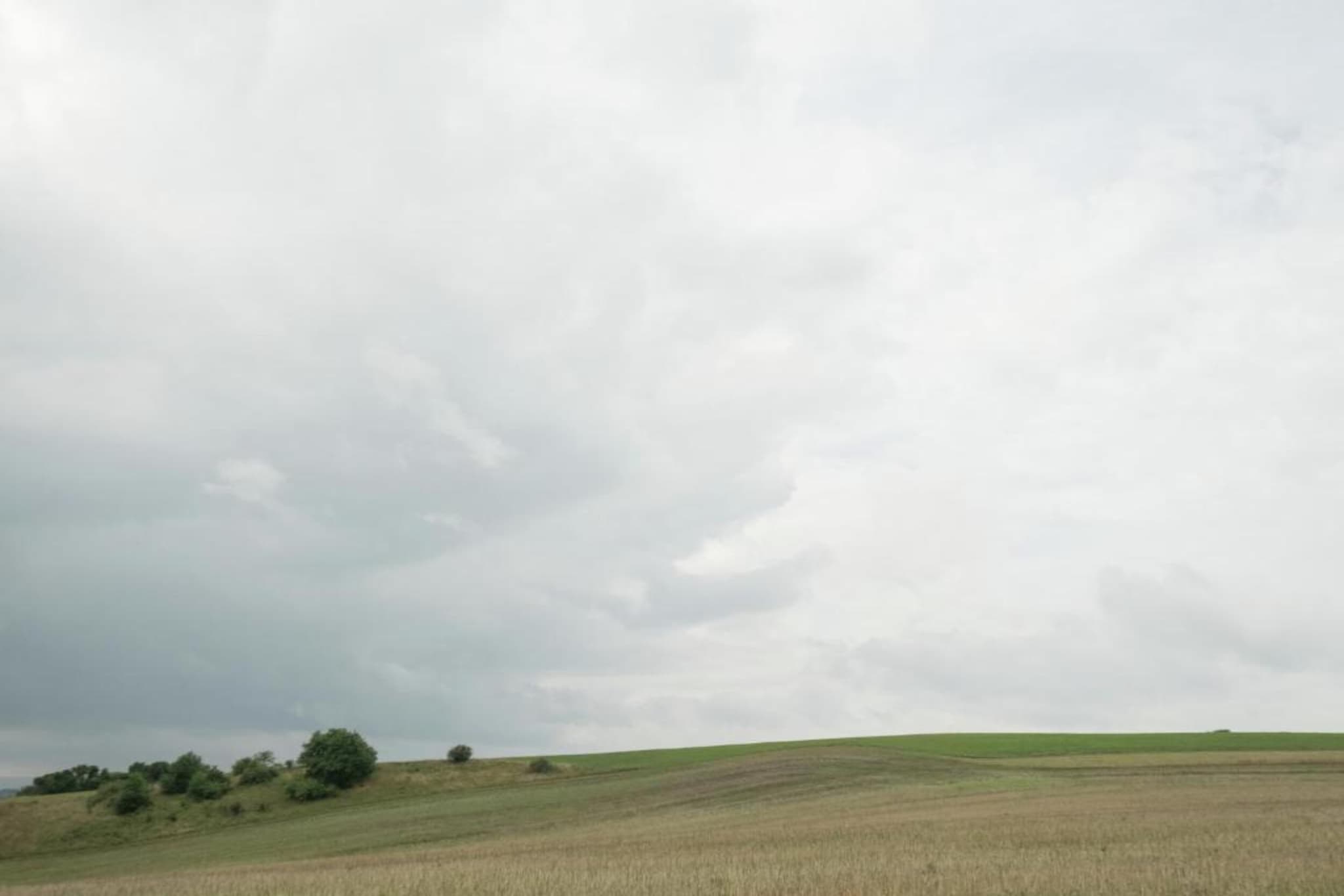 Neustadt-Gebieden zomer 20km