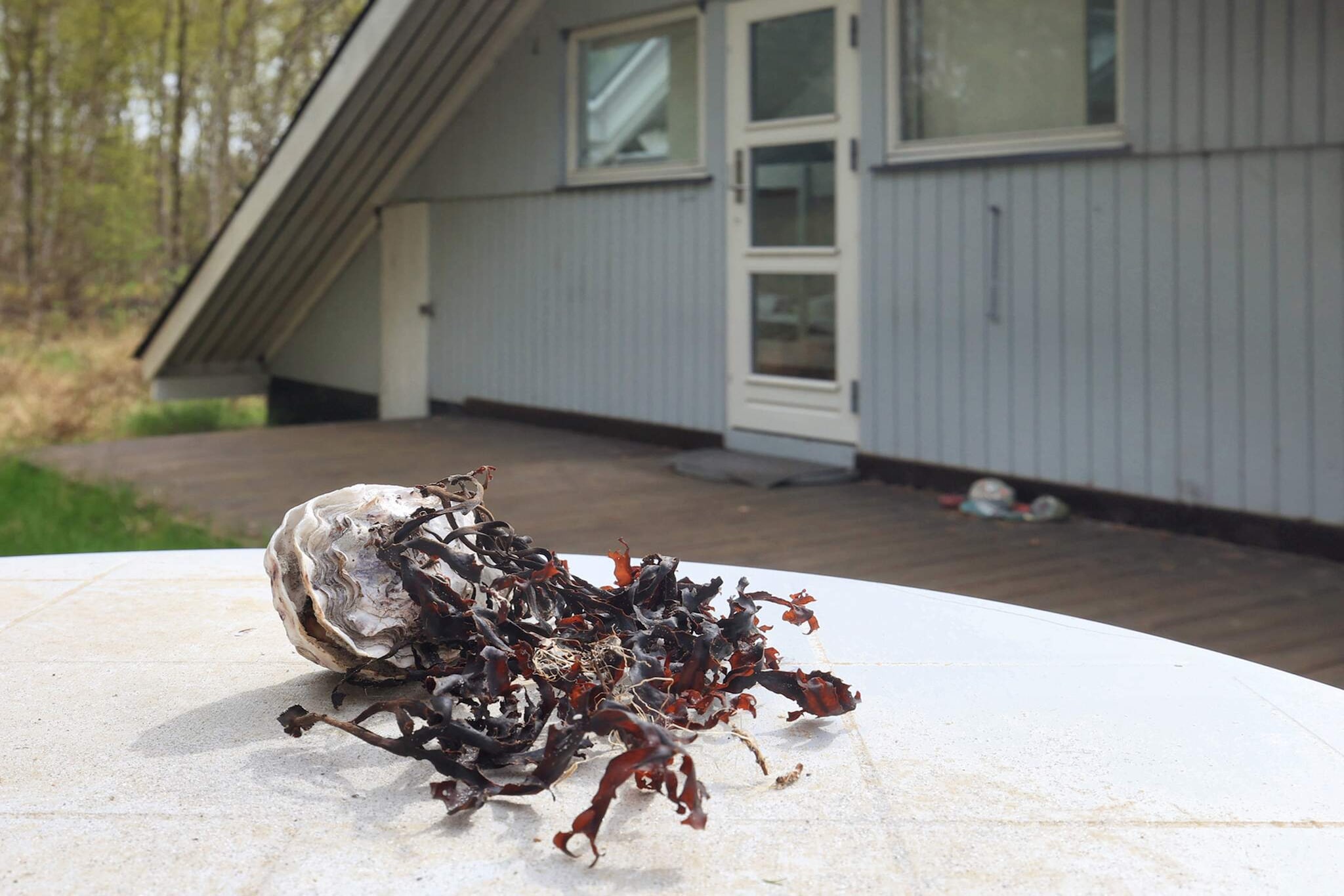 6 persoons vakantie huis in Læsø-By Traum - Uitzicht