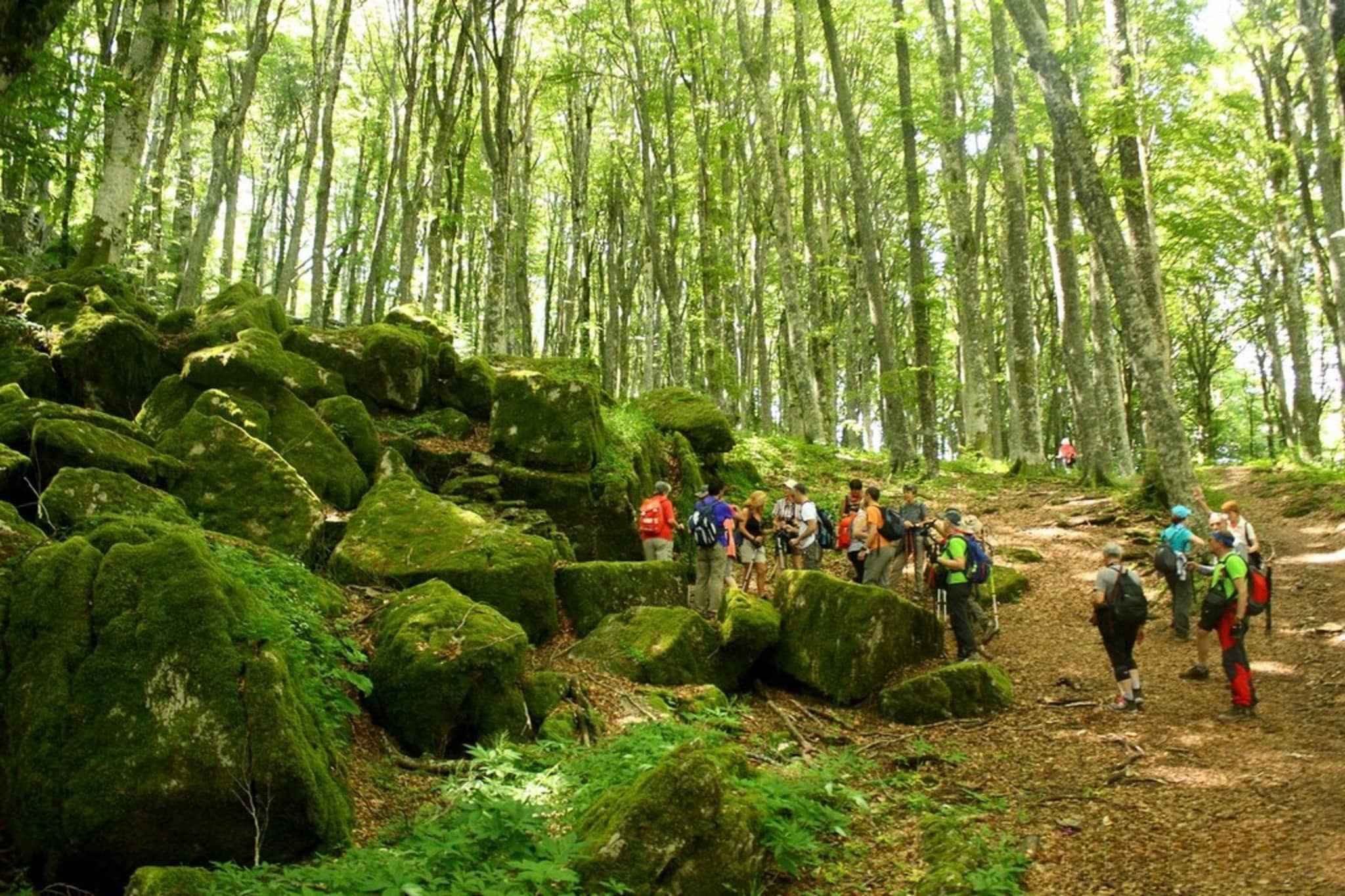 Il Ciliegio - Gebieden zomer 5km