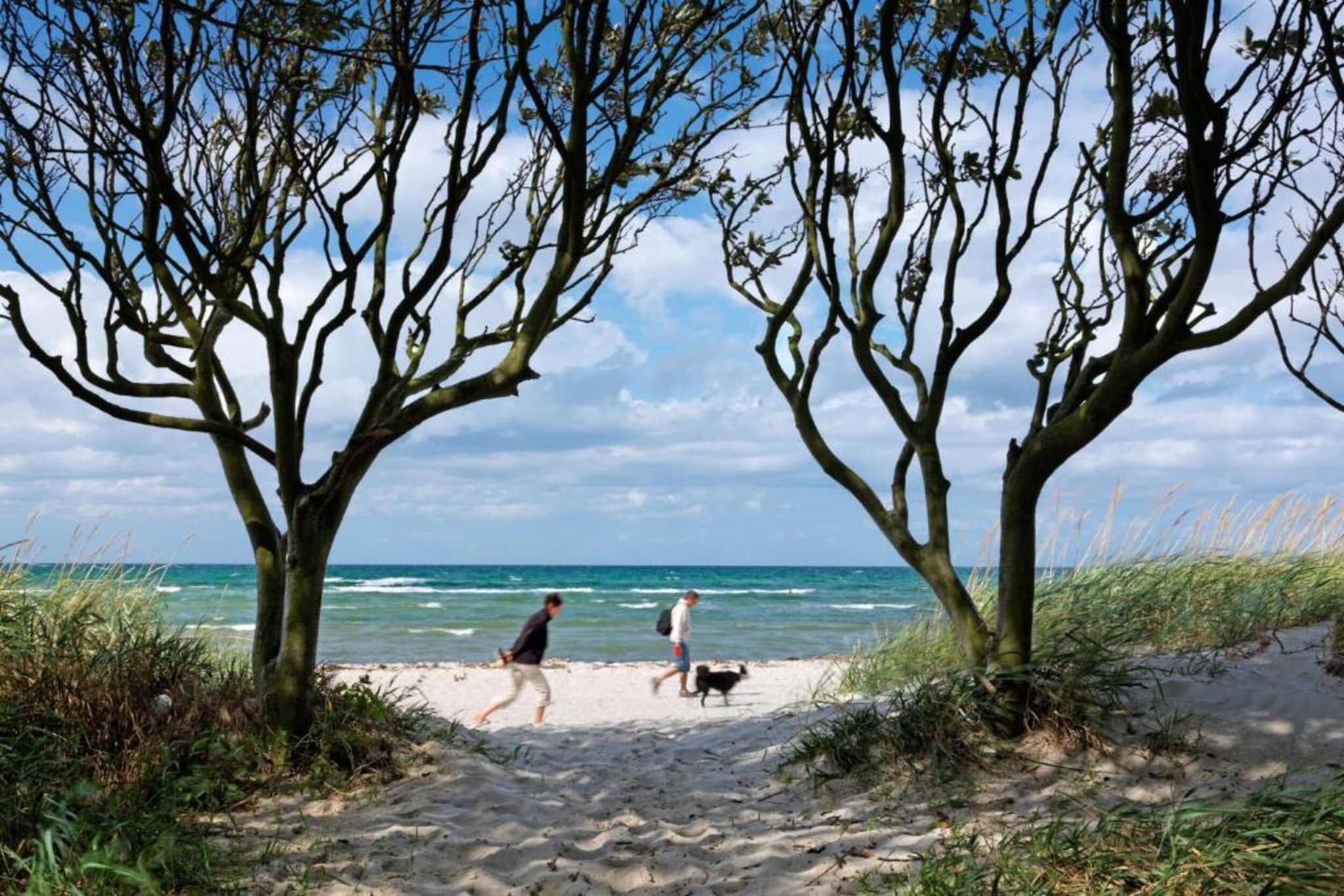 Bungalow Im Krabbenweg-Gebieden zomer 5km
