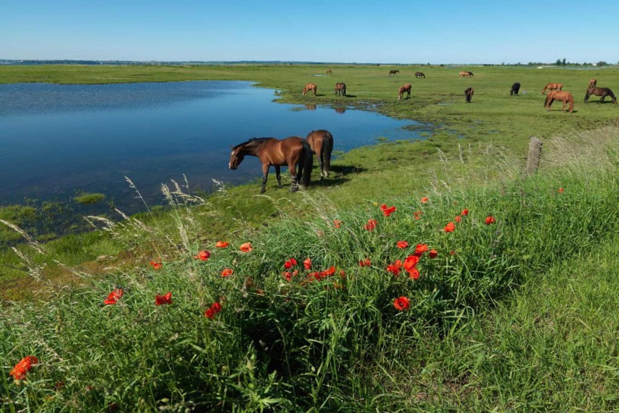 Bungalow Im Krabbenweg-Gebieden zomer 5km