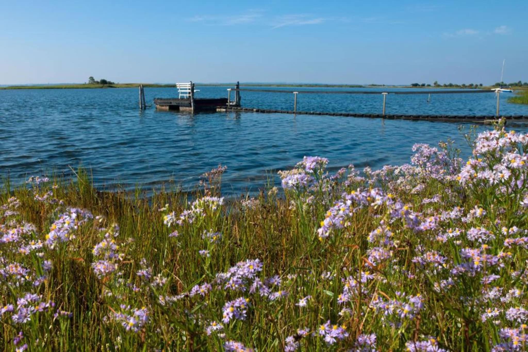Bungalow Im Krabbenweg-Gebieden zomer 5km
