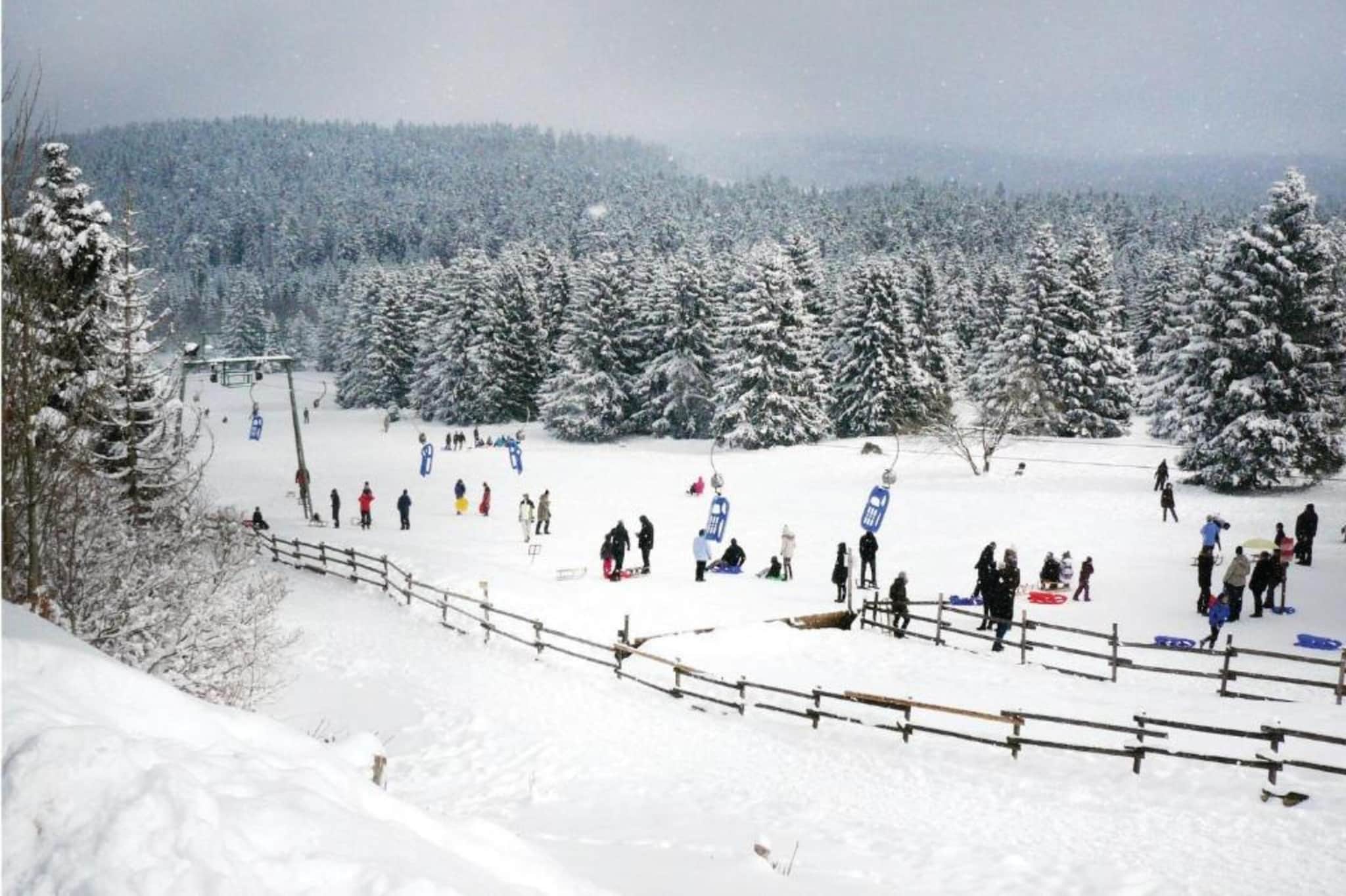 Neustadt 1-Gebied winter 5km