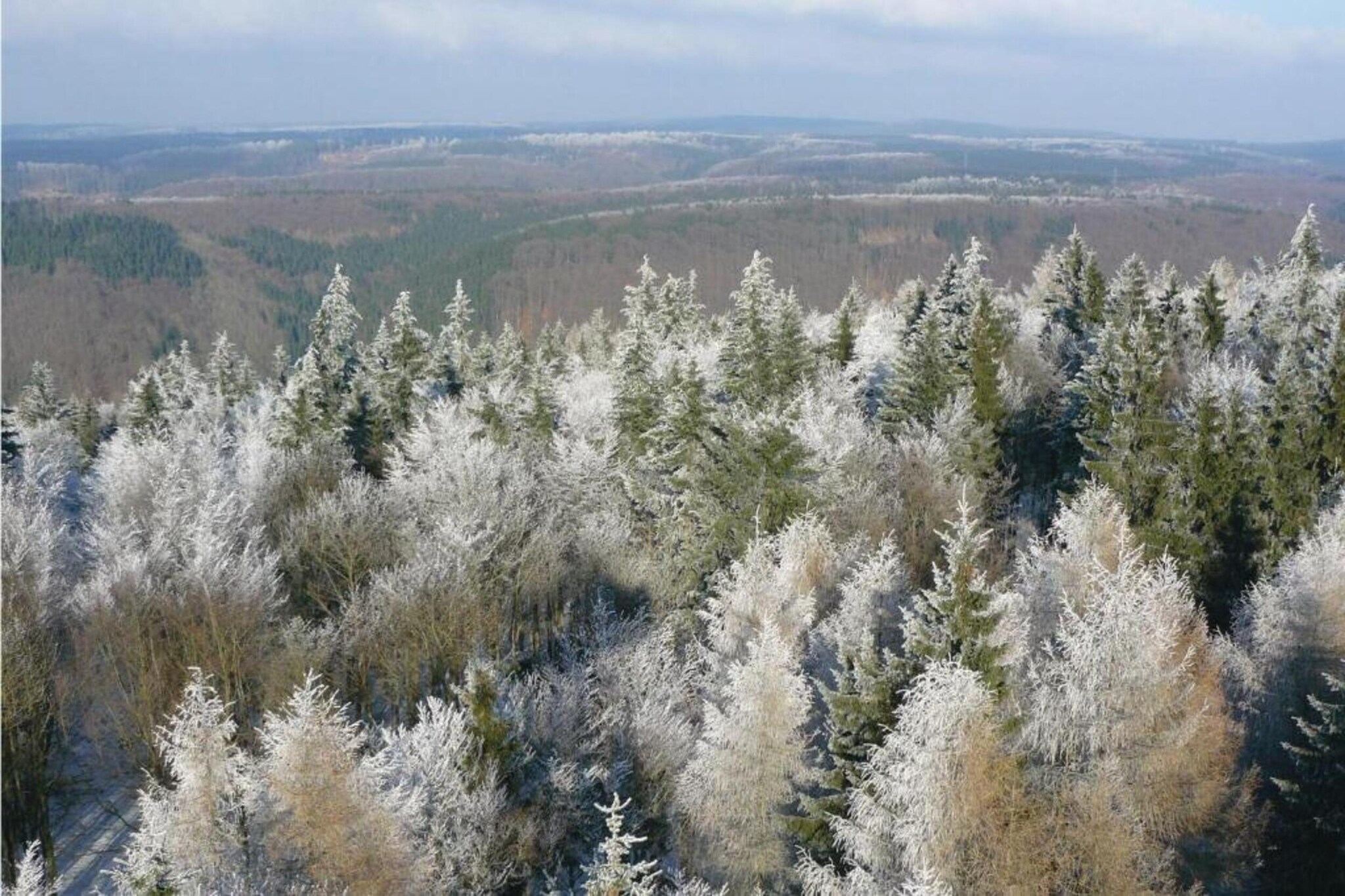 Neustadt 1-Gebied winter 5km