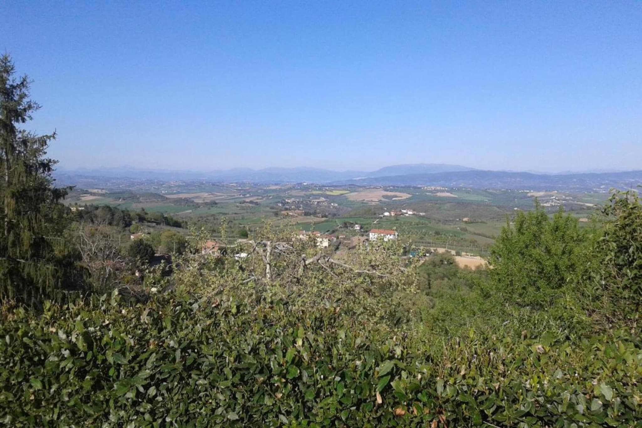 Salvia-Areas summer 5km