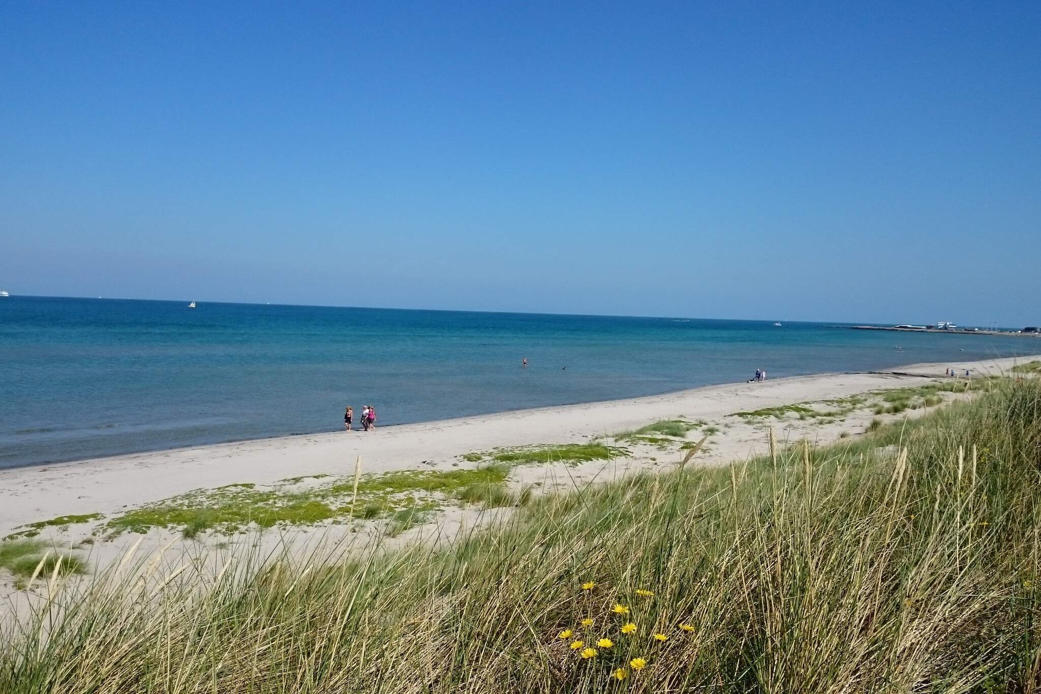 12 persoons vakantie huis in Læsø-By Traum - Waterzicht