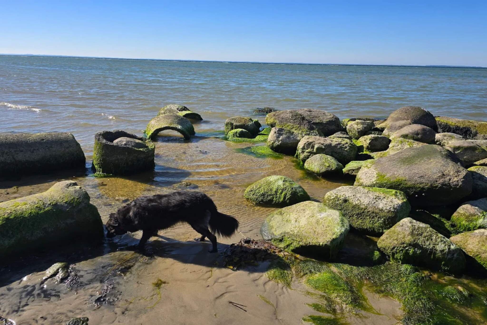 8 persoons vakantie huis in Nordborg-By Traum - Waterzicht