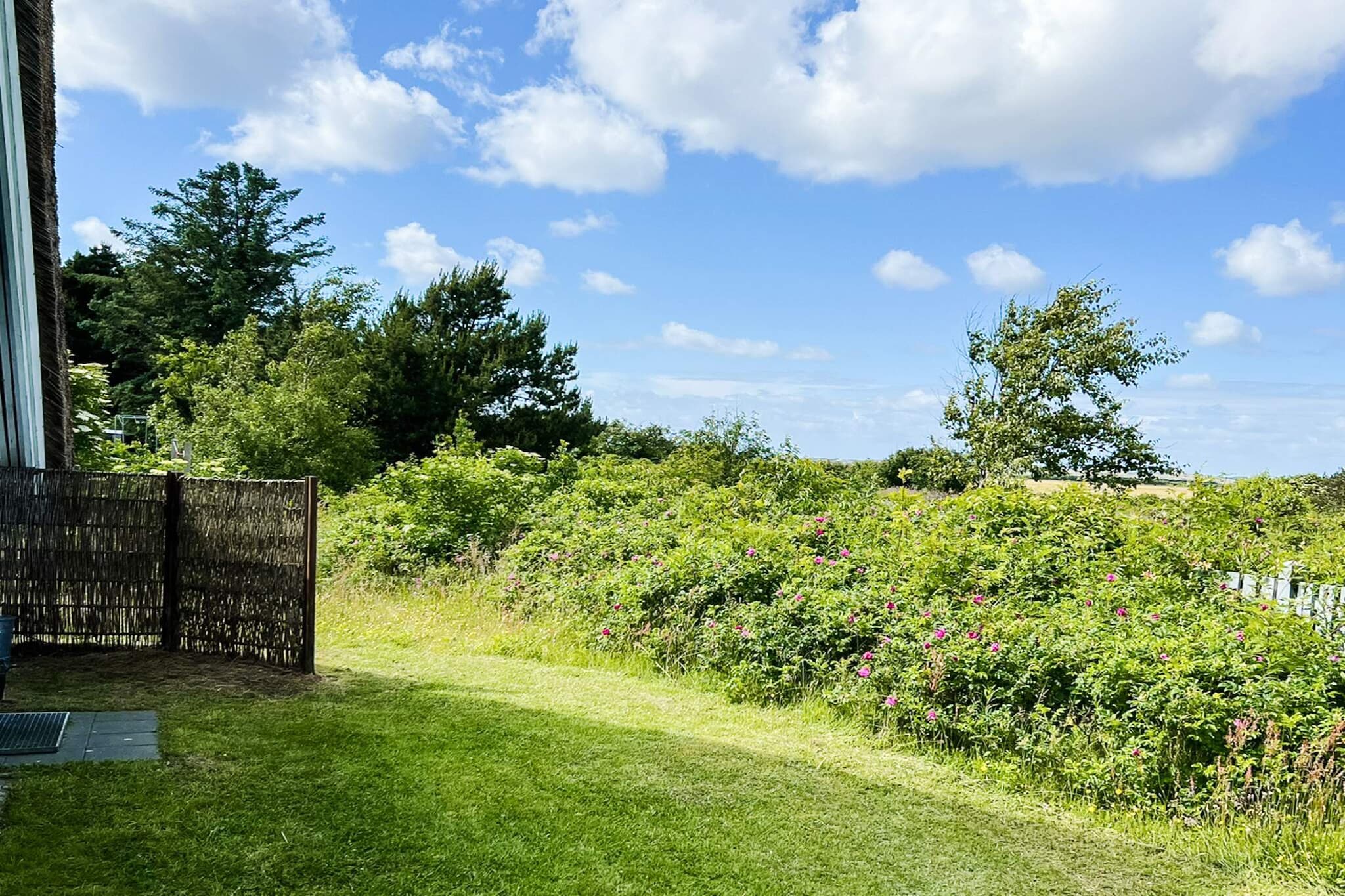 4 persoons vakantie huis in Ringkøbing-By Traum-Buitenlucht