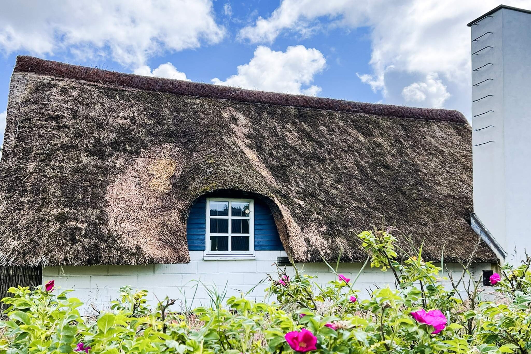 4 persoons vakantie huis in Ringkøbing-By Traum - Buitenlucht