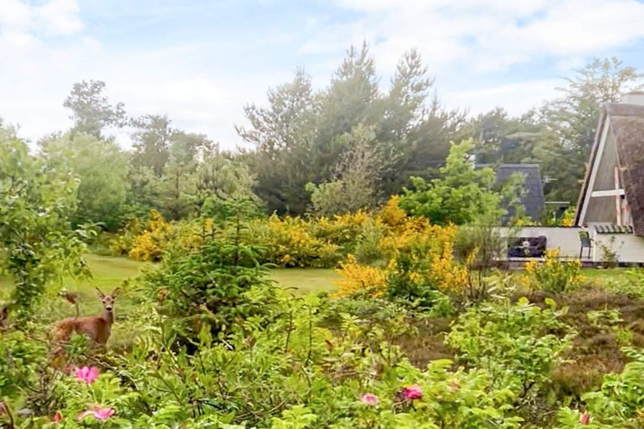 4 persoons vakantie huis in Ringkøbing-By Traum
