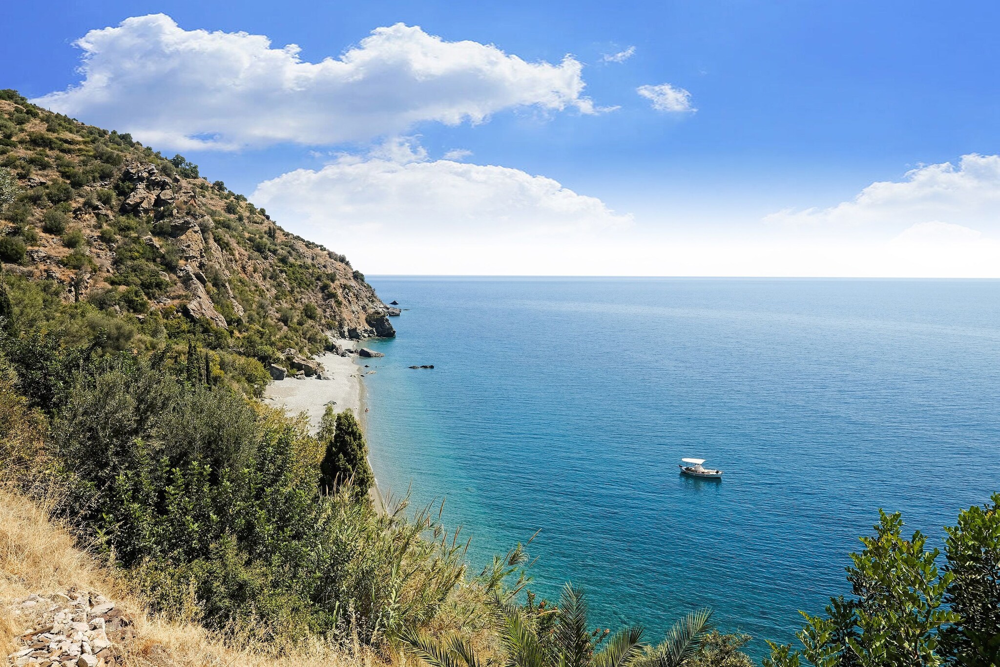 View Summer