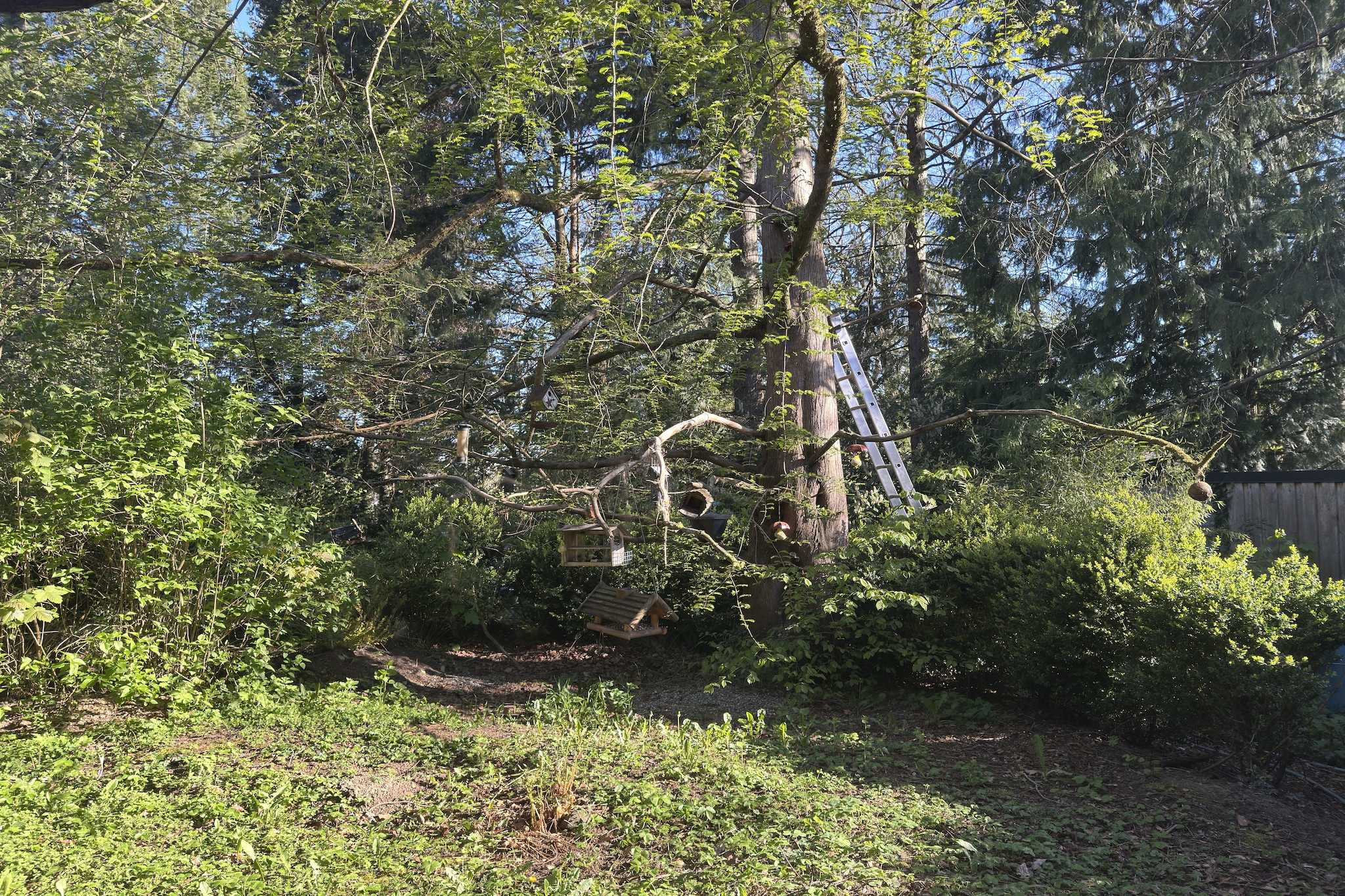 Ferienwohnung Erdgeschoss Weitblick I - Uitzicht zomer