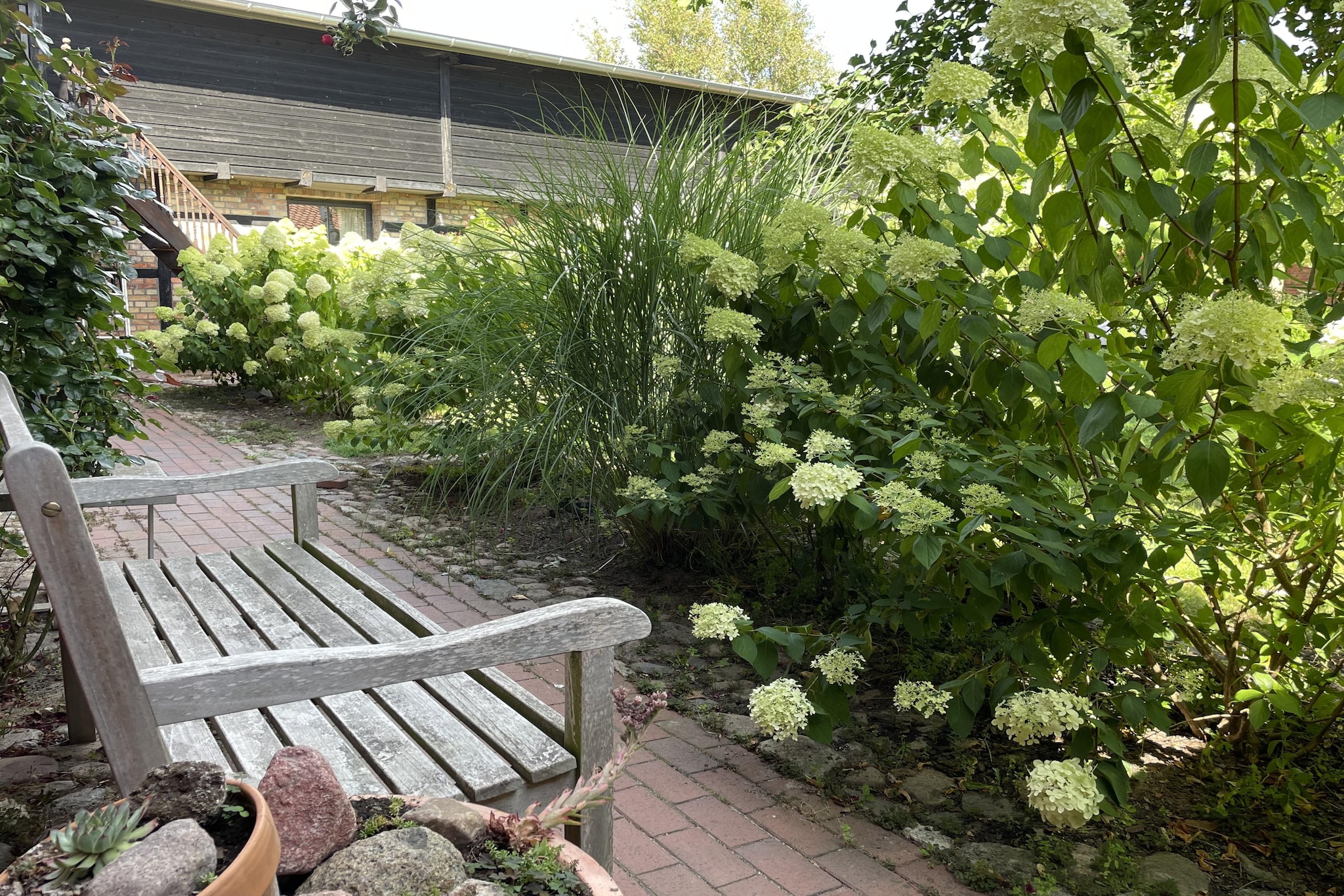 Moderne Ferienwohnung 3-Tuinen zomer