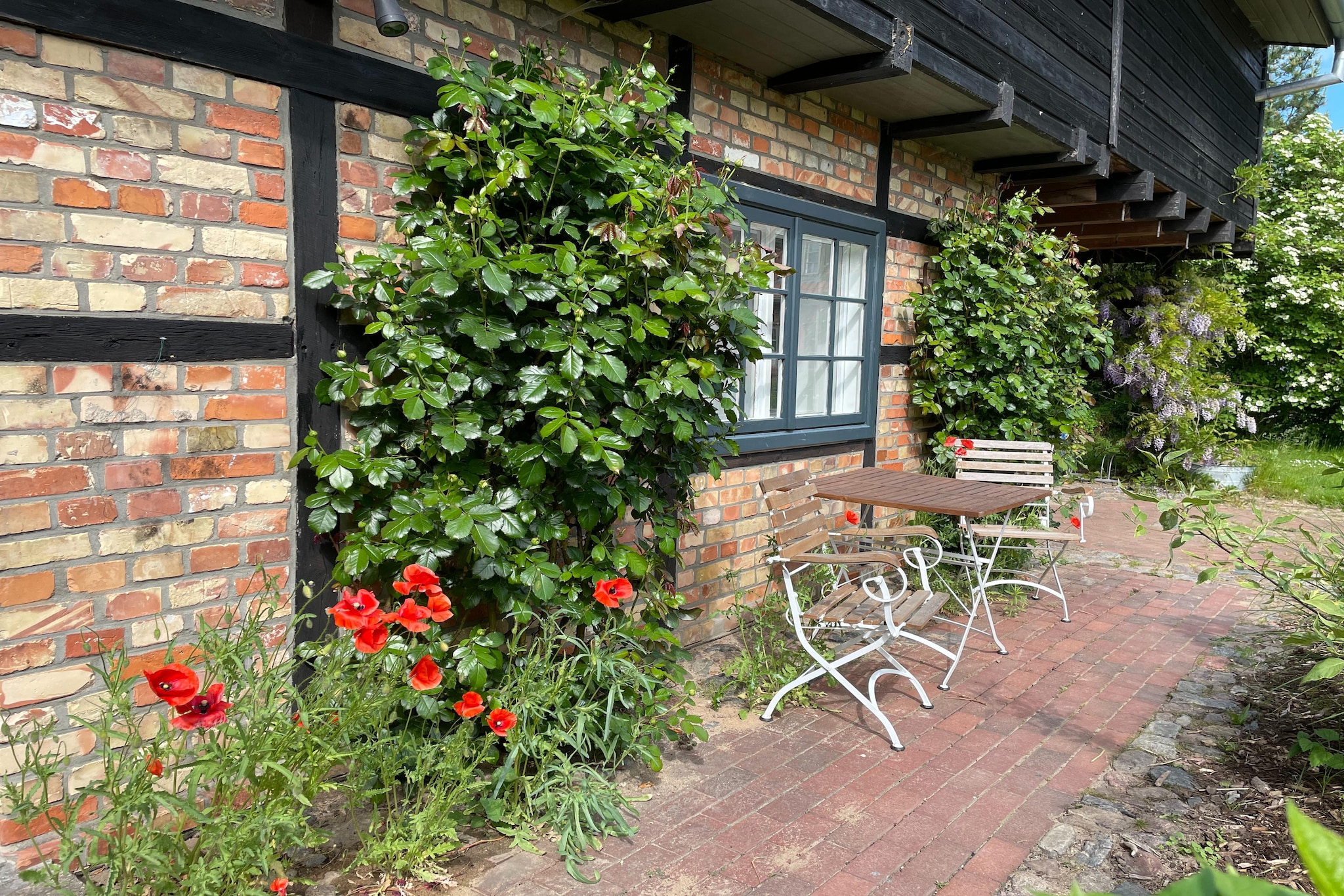Moderne Ferienwohnung 3-Buitenkant zomer