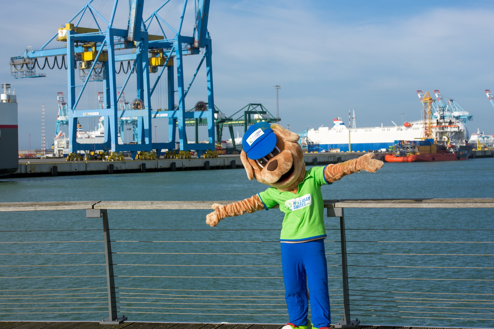 Vakantiehuis Zeebrugge max. 6 personen 2 huisdieren 1 slaapkamer zwembad #35