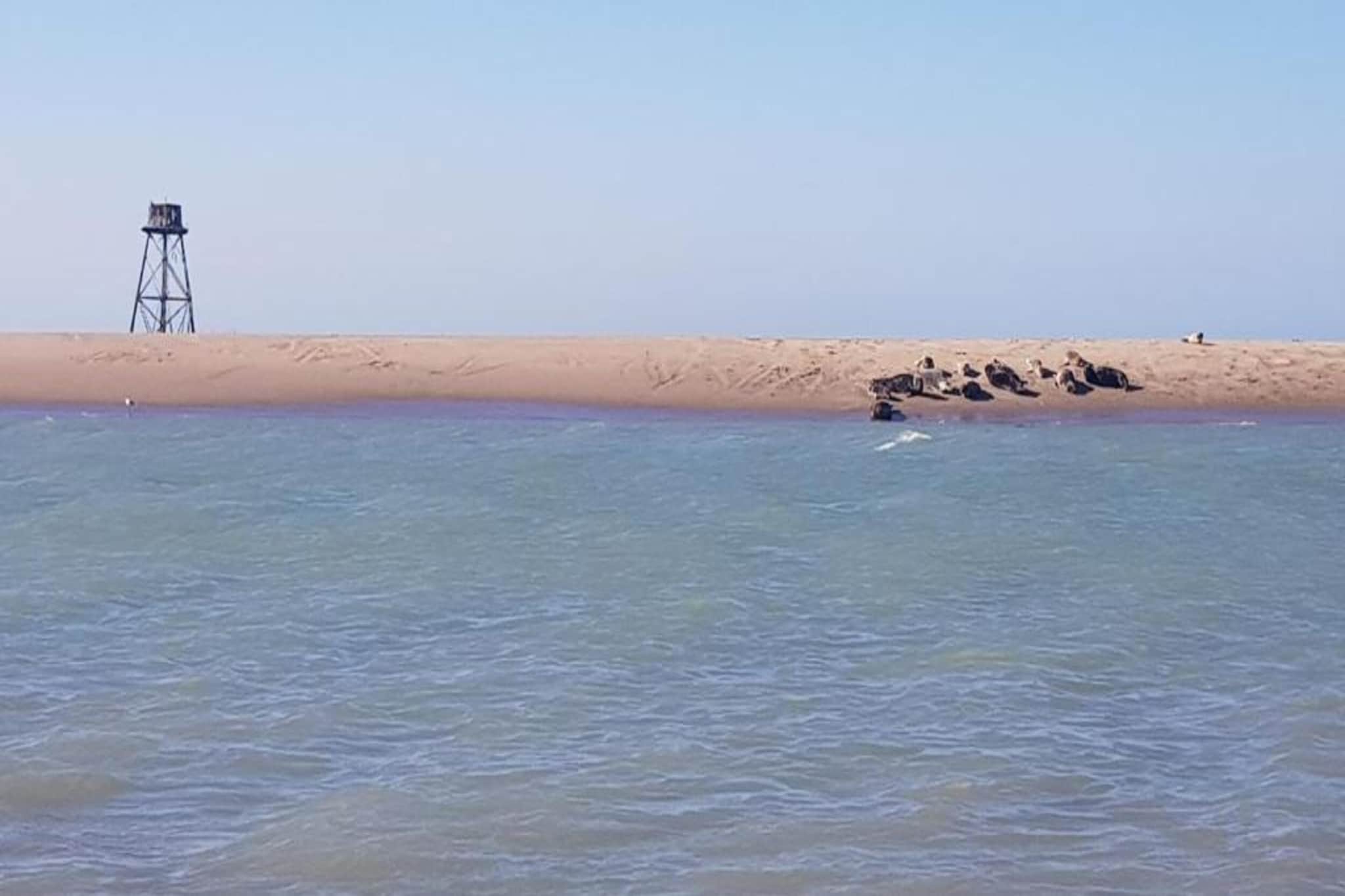 Residence Oye Plage 2-Areas summer 20km
