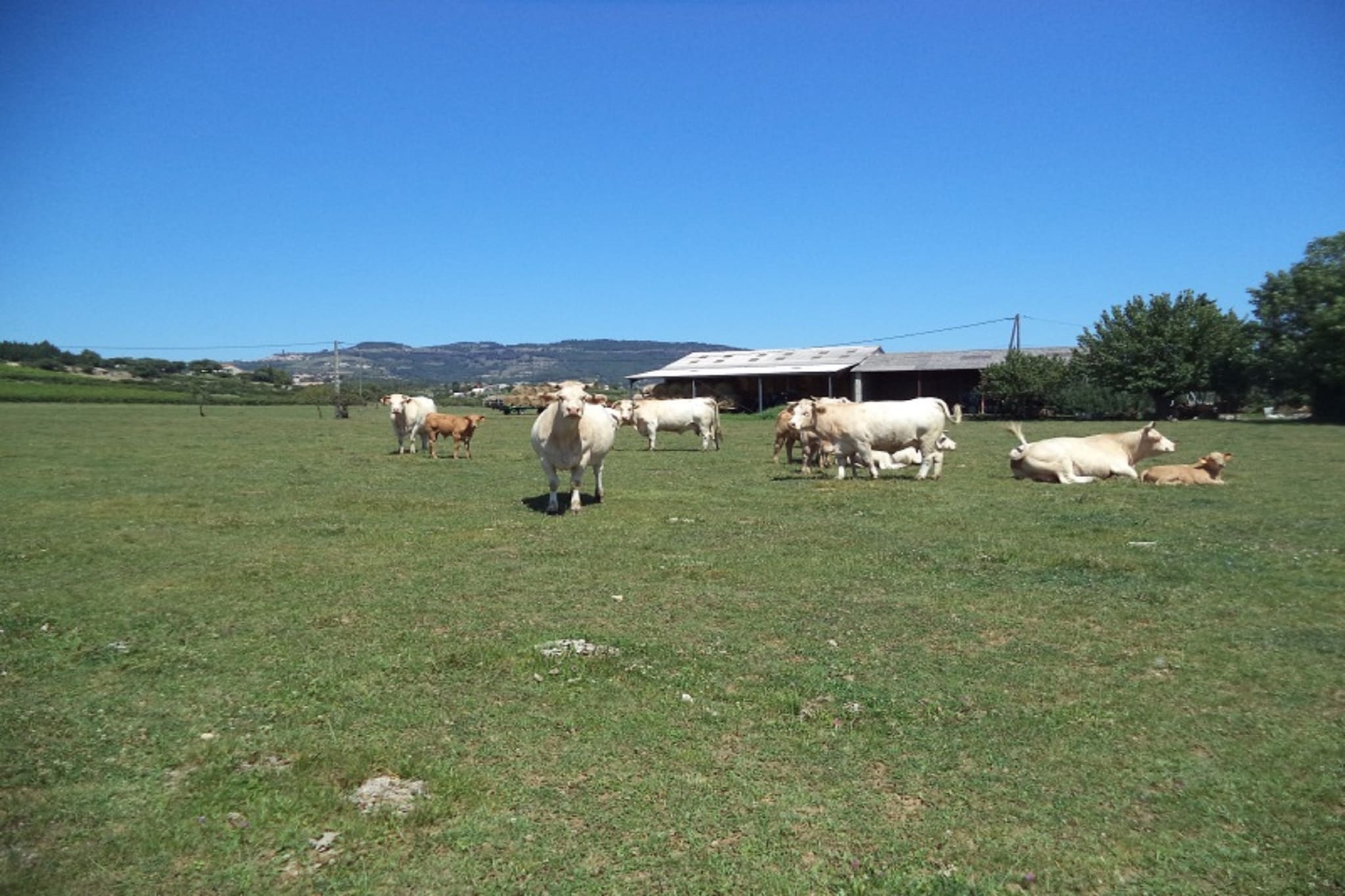 Cottage les Bombis-Areas summer 1km