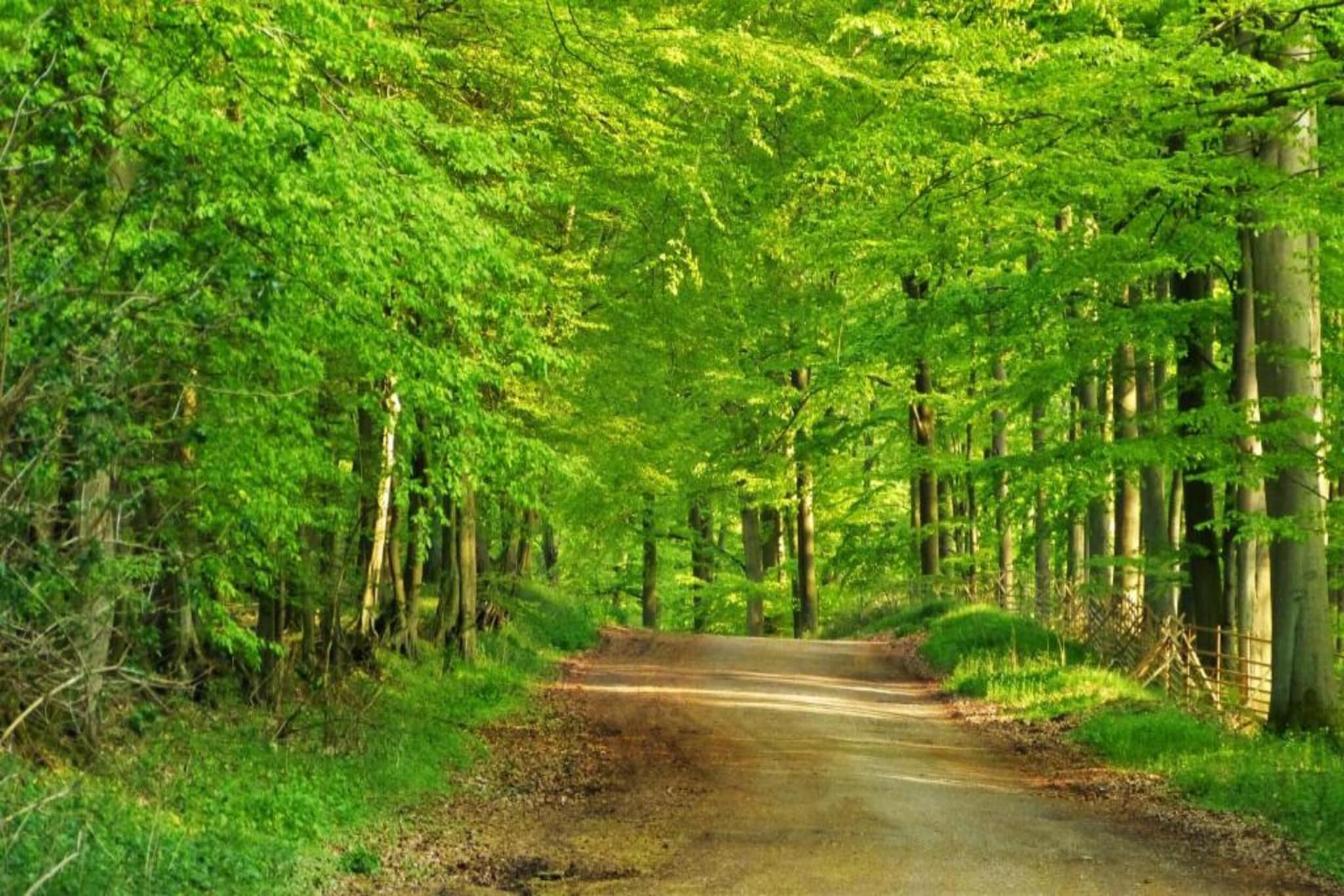 Ostseezauber OG-Gebieden zomer 20km