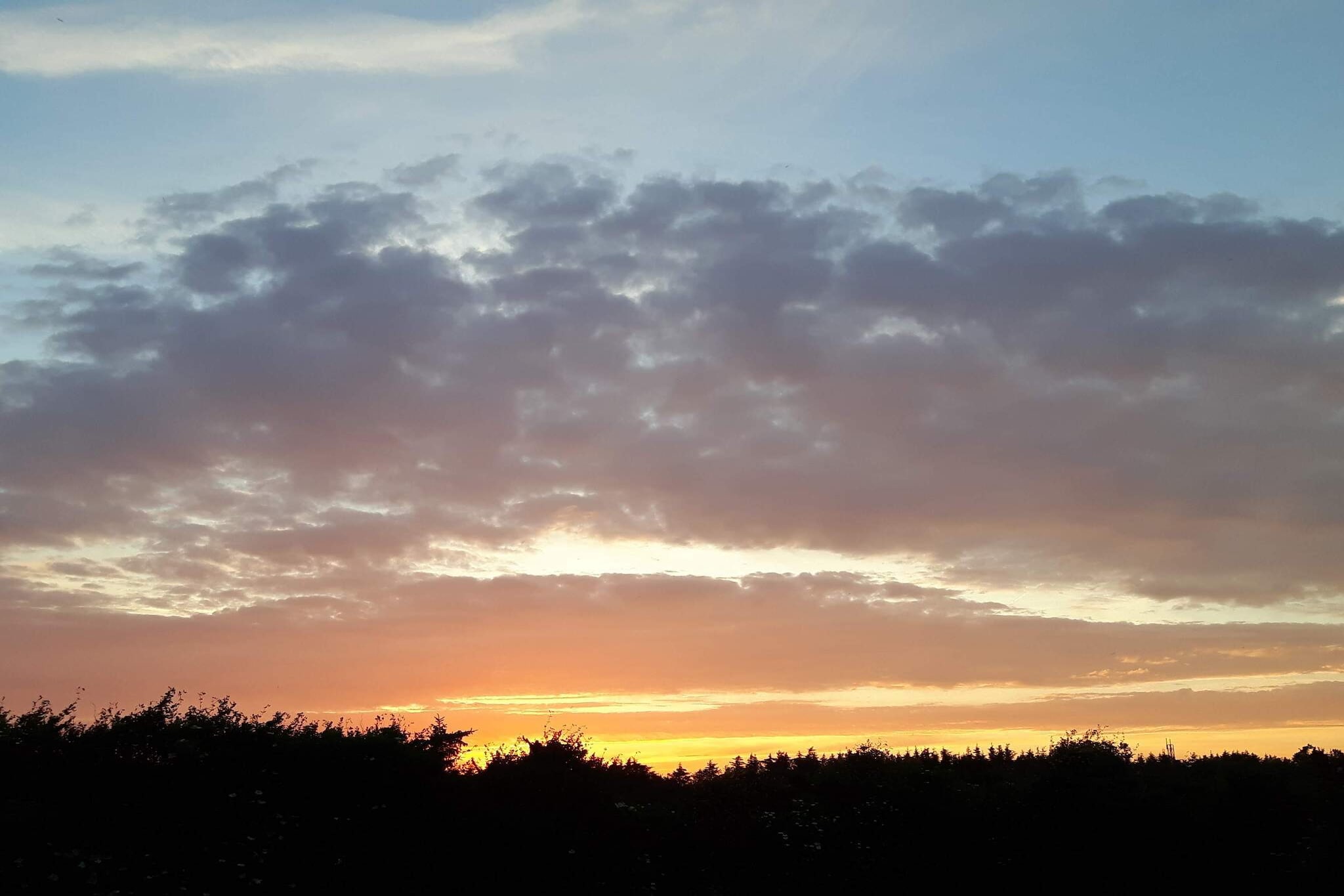 12 Personen Ferienhaus in Løkken-By Traum-Nicht zugeordnet