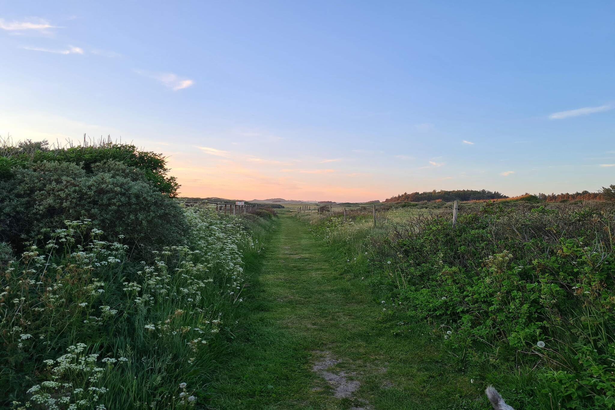 12 Personen Ferienhaus in Løkken-By Traum-Wasserblick