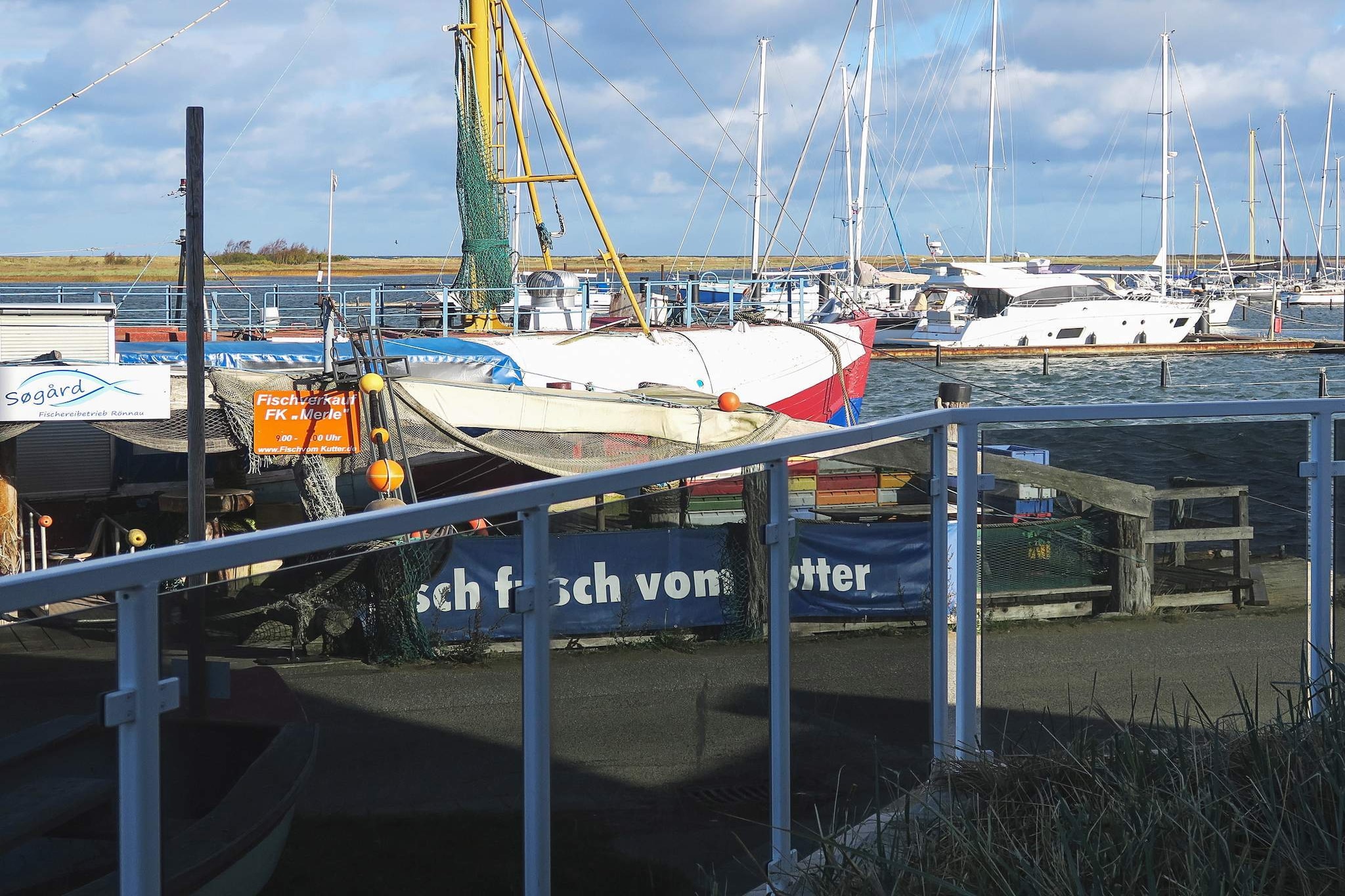 D_MV 2+2*D - Waterzicht