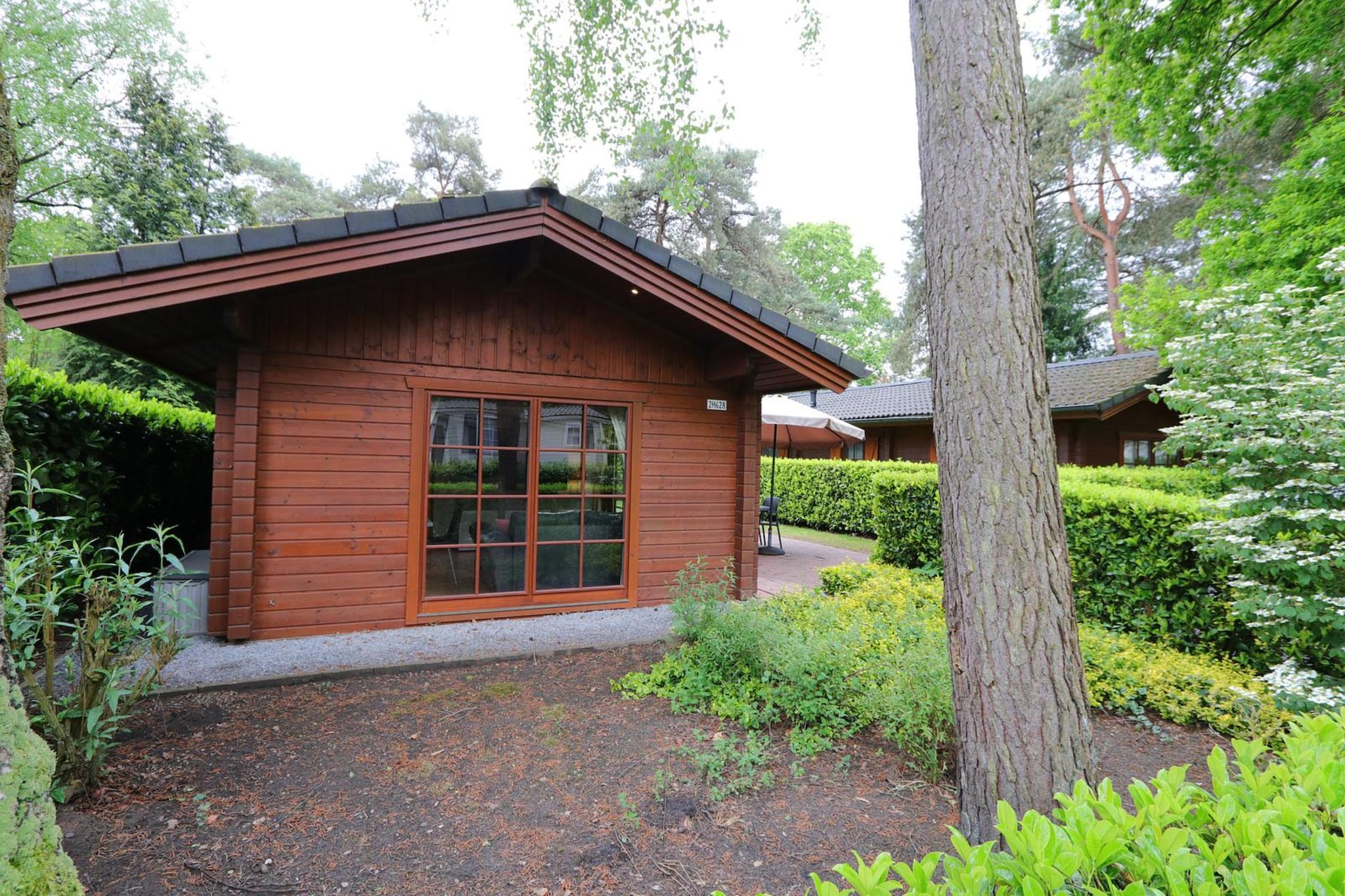 Exterior Summer