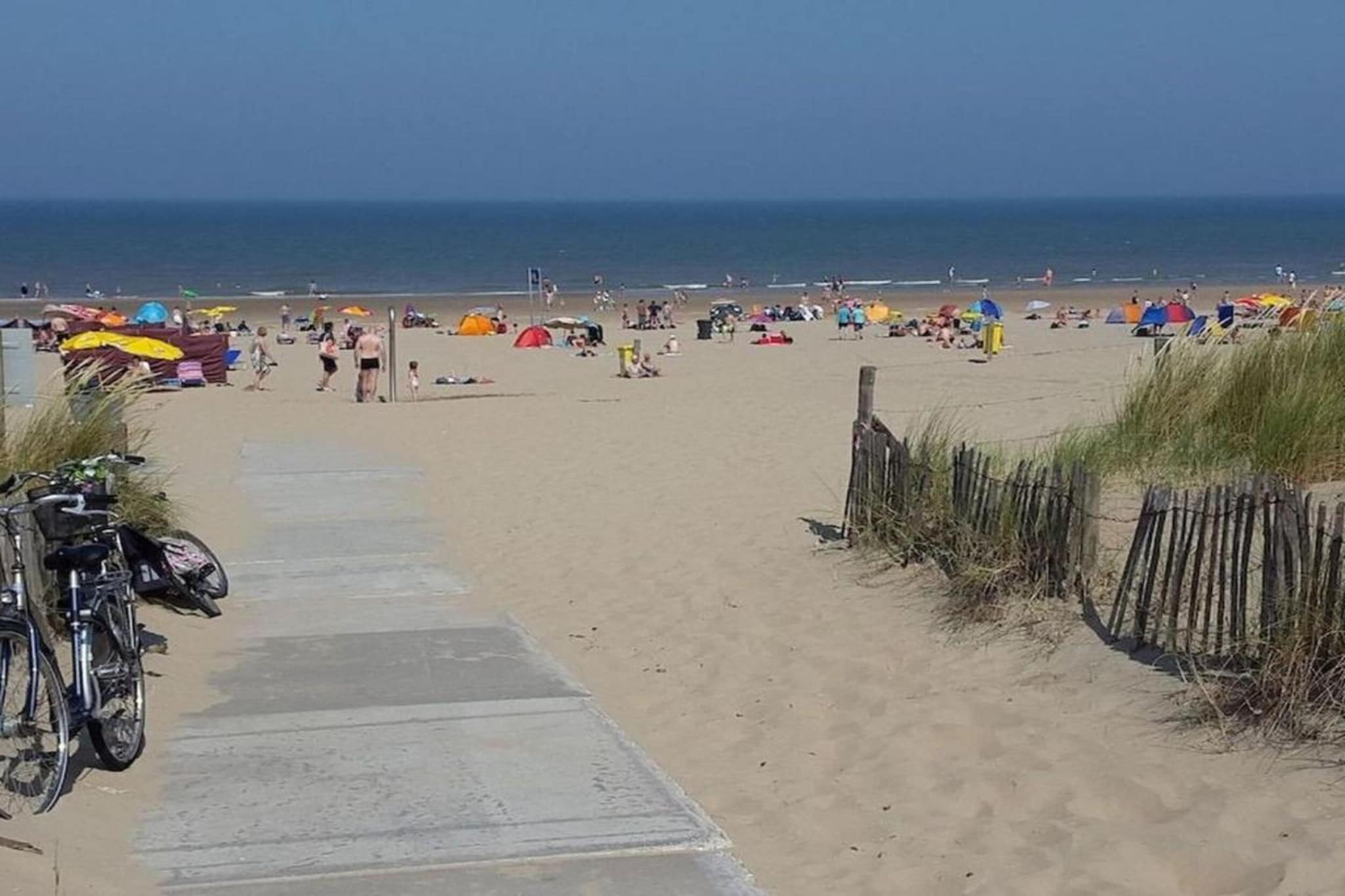Bos-Lodge-Gebiete Sommer 20 km