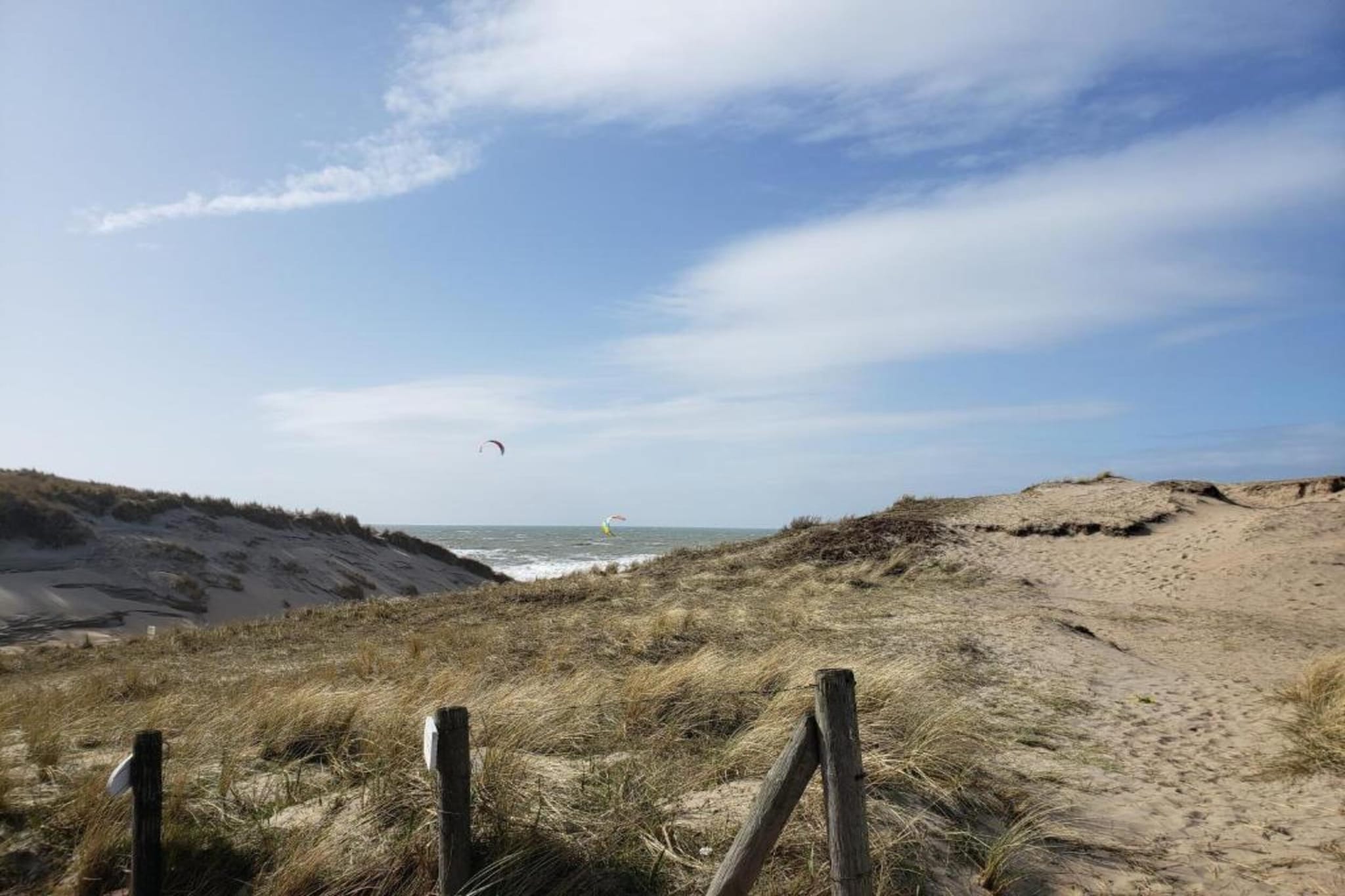 Bos-Lodge-Gebiete Sommer 20 km