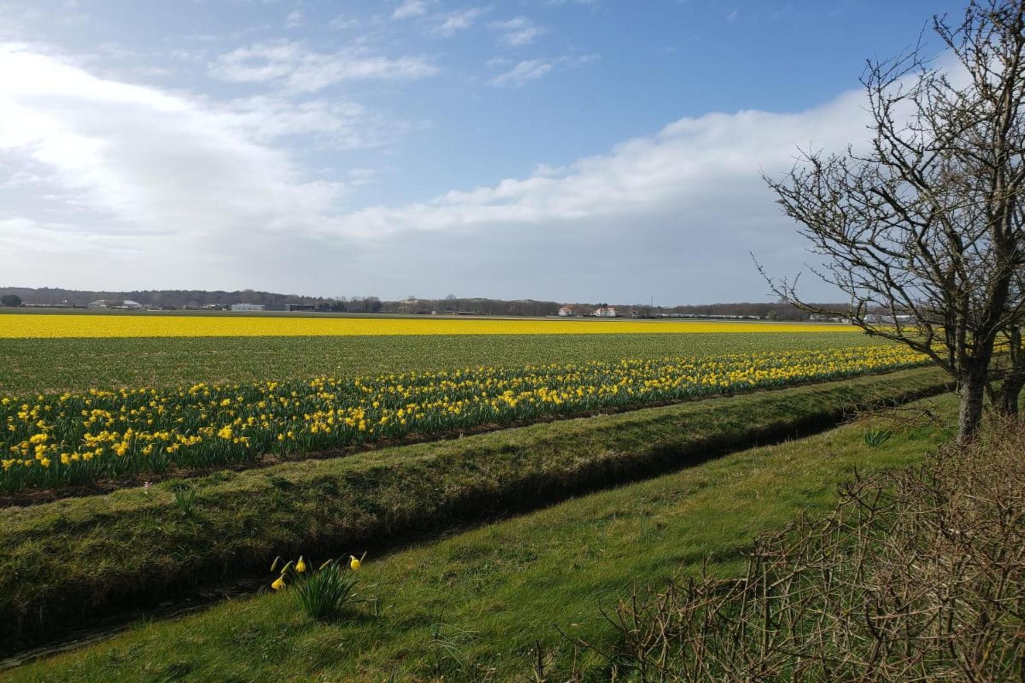 Bos-Lodge-Gebiete Sommer 20 km