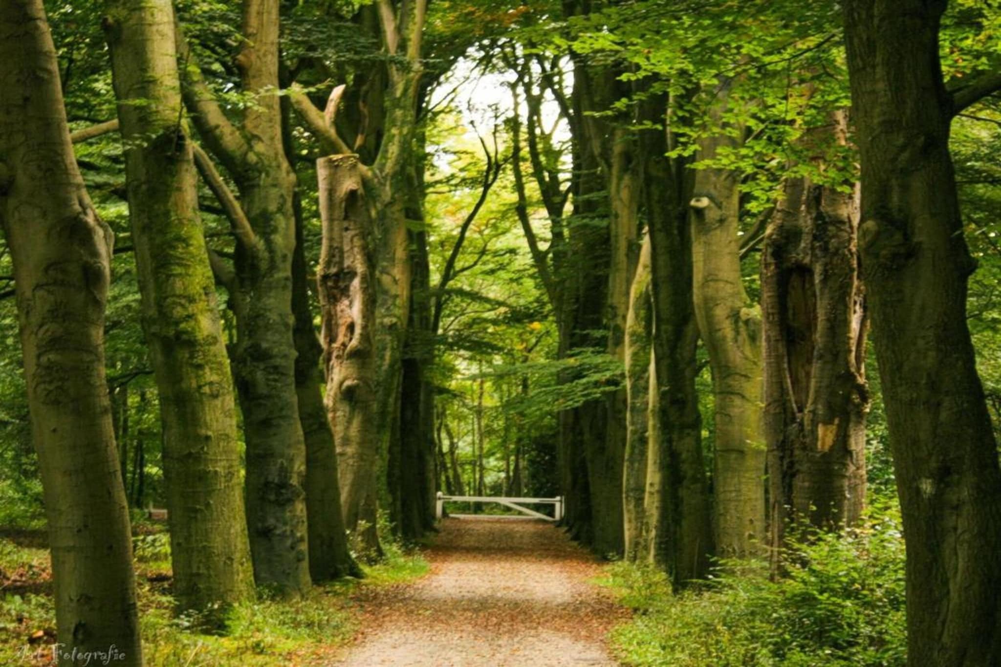Modern Limmen-Gebieden zomer 20km