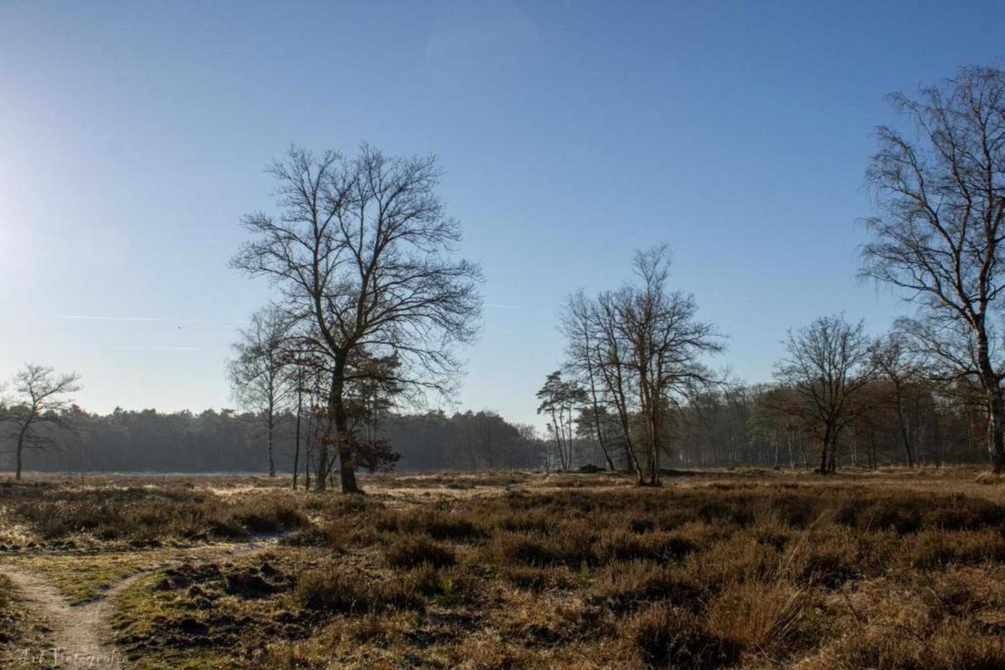 Modern Limmen-Gebieden zomer 20km